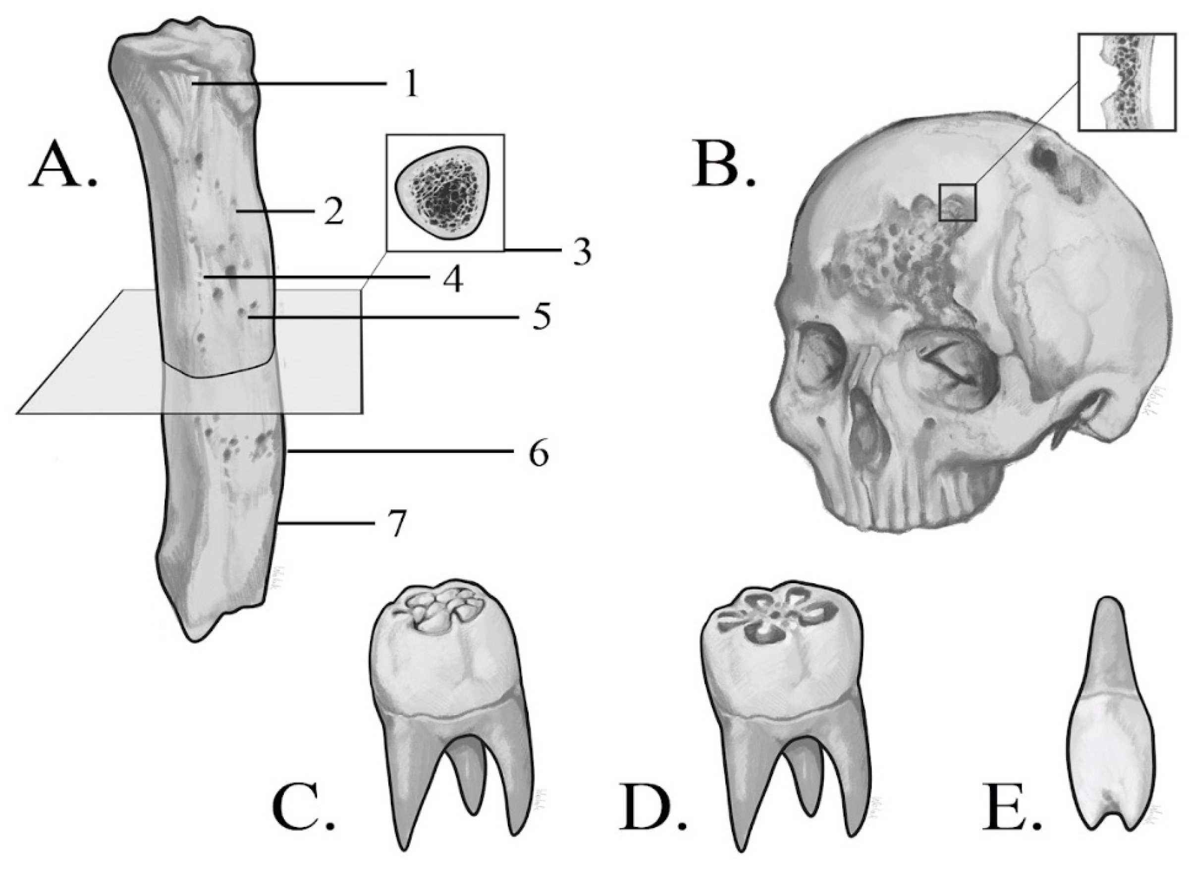 Preprints 153006 g002