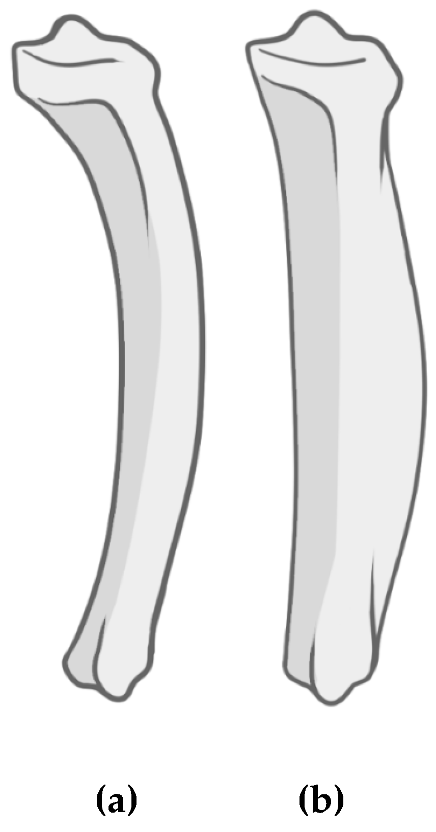 Preprints 153006 g003