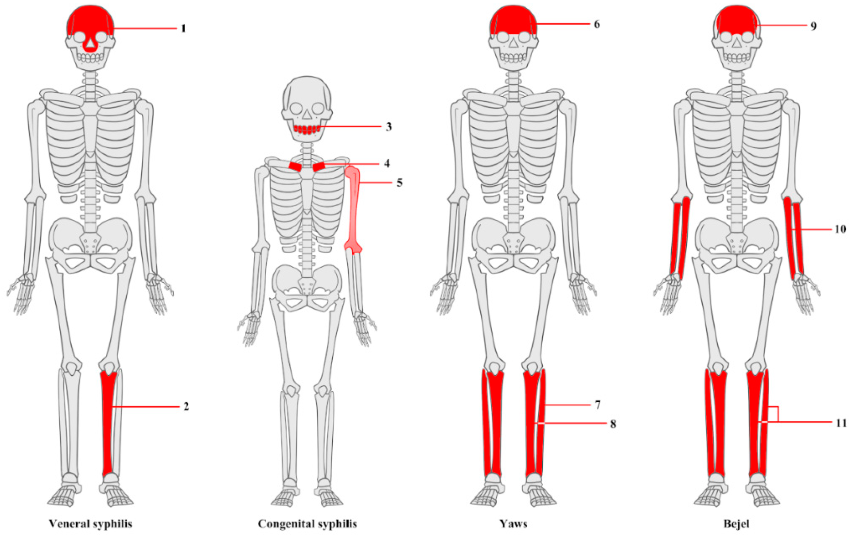 Preprints 153006 g004
