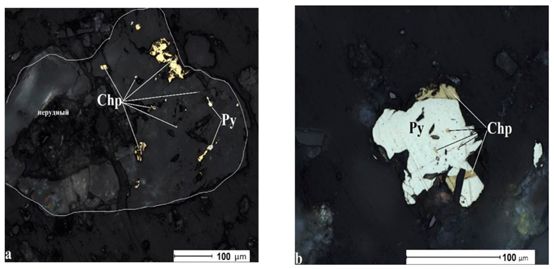 Preprints 218996 g001a