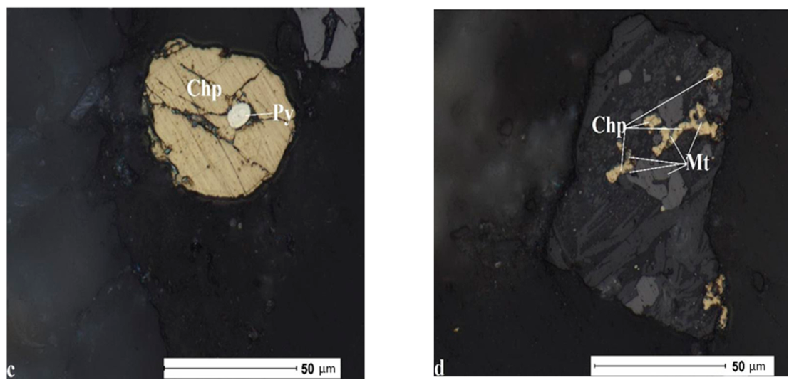 Preprints 218996 g001b