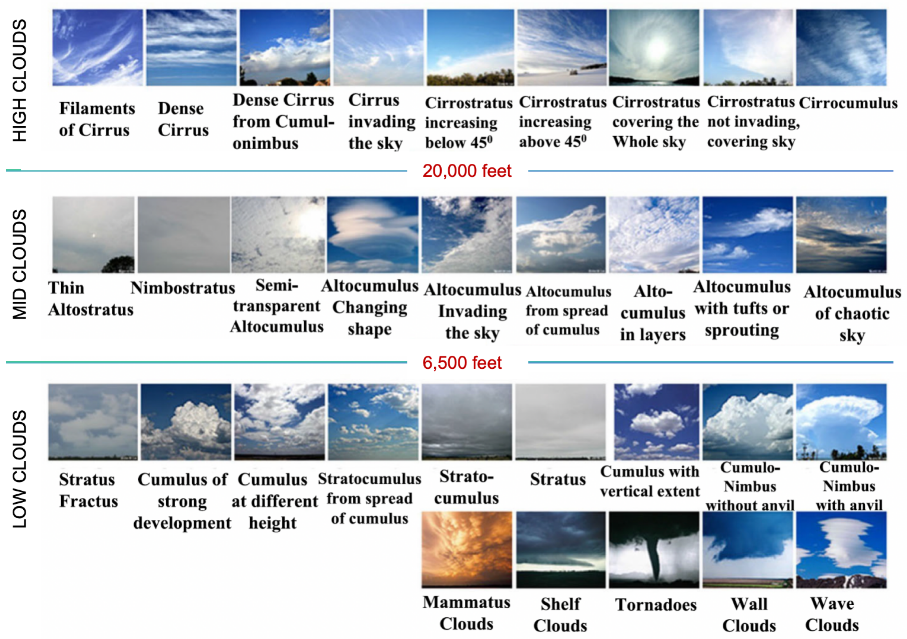 Preprints 160400 g001