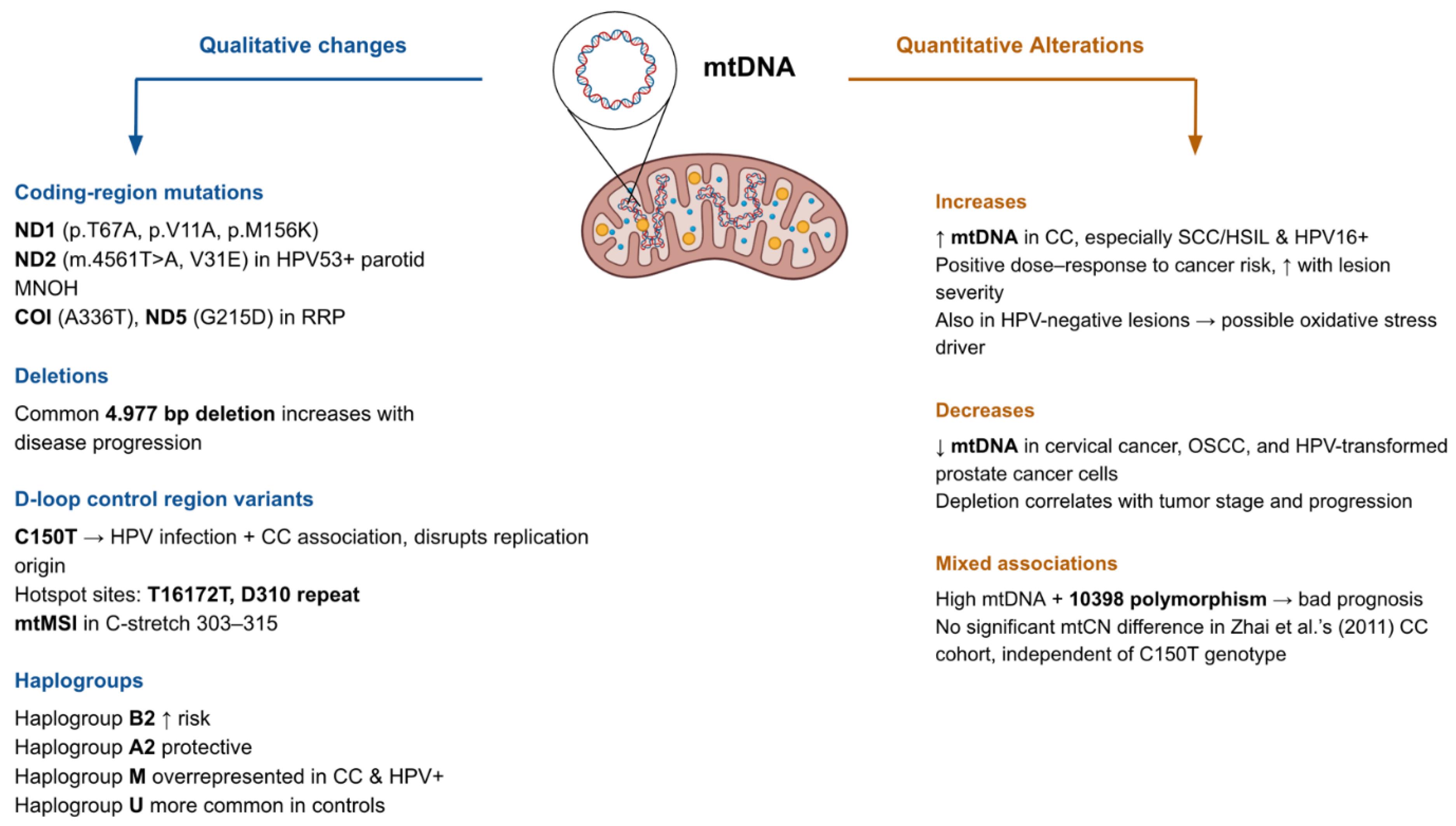 Preprints 176062 g001