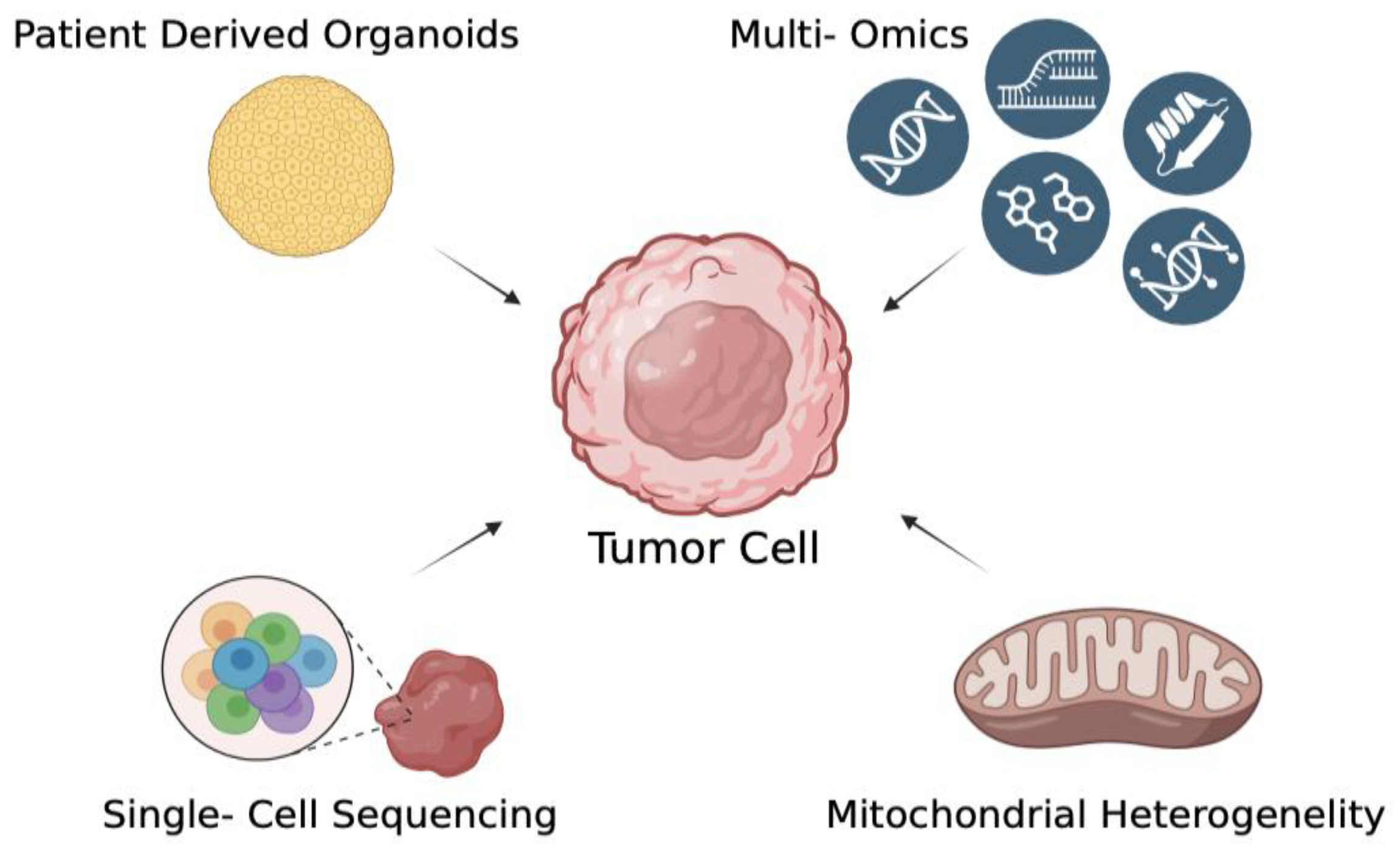 Preprints 176062 g003