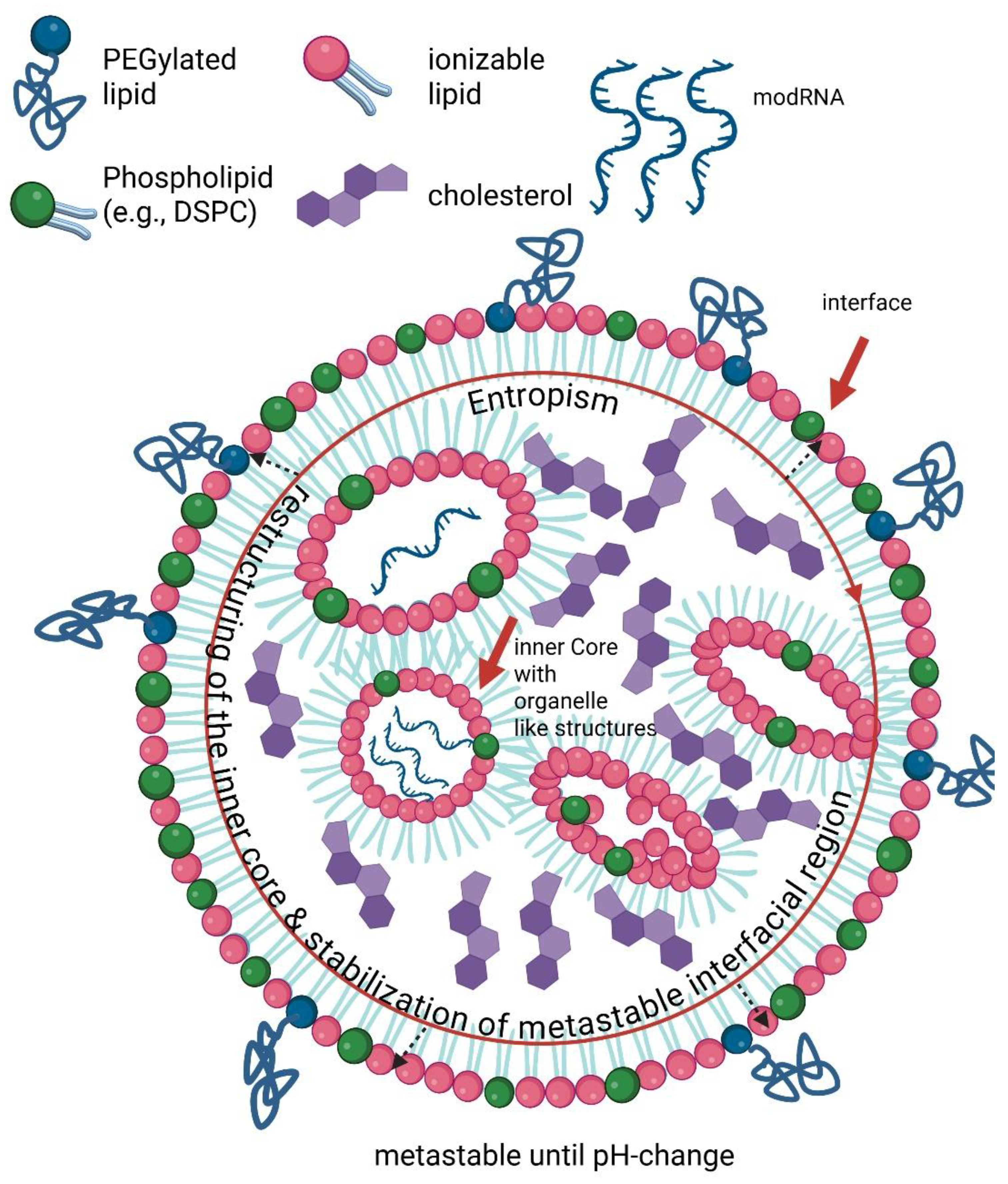 Preprints 200275 g001