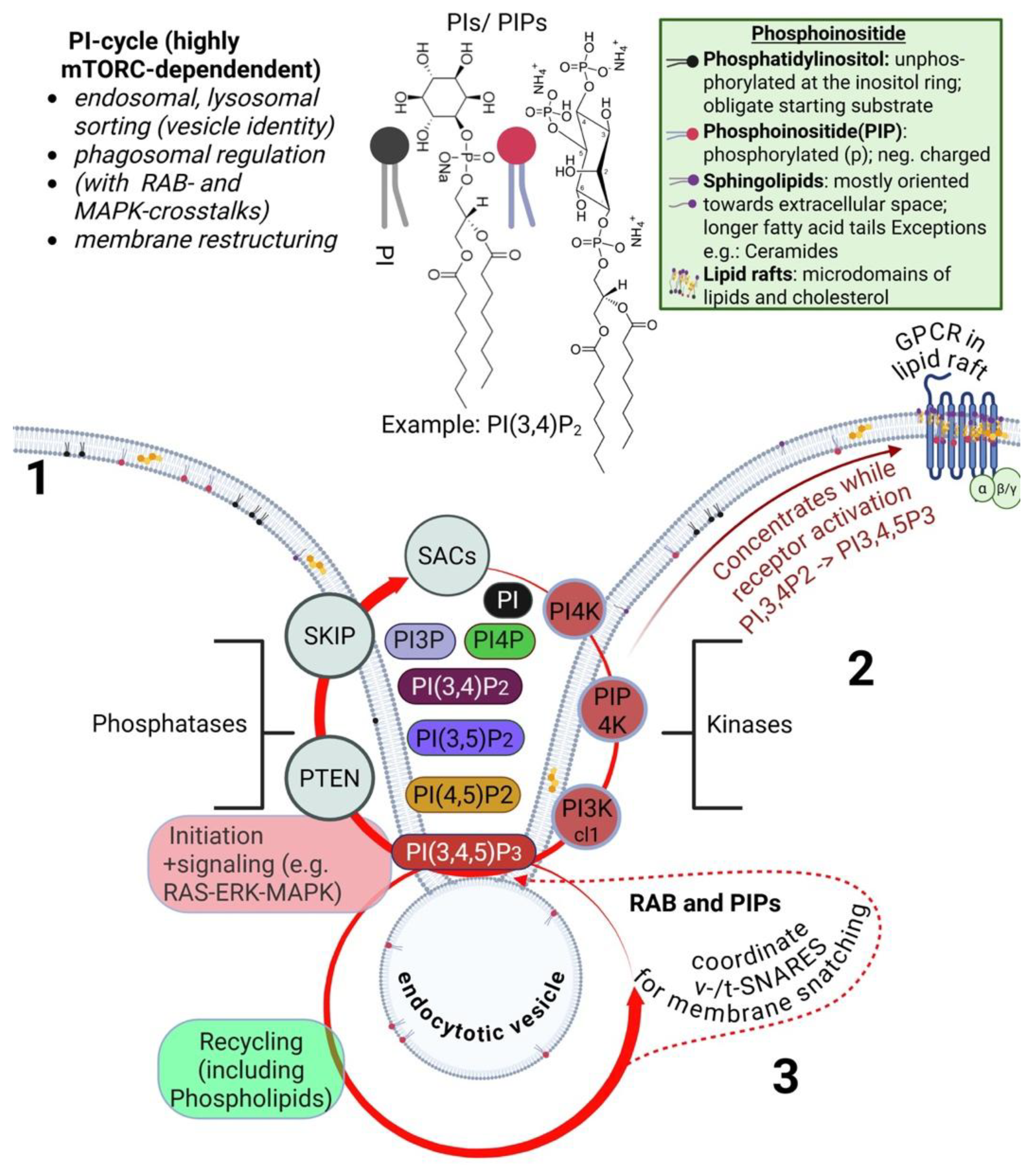 Preprints 200275 g003