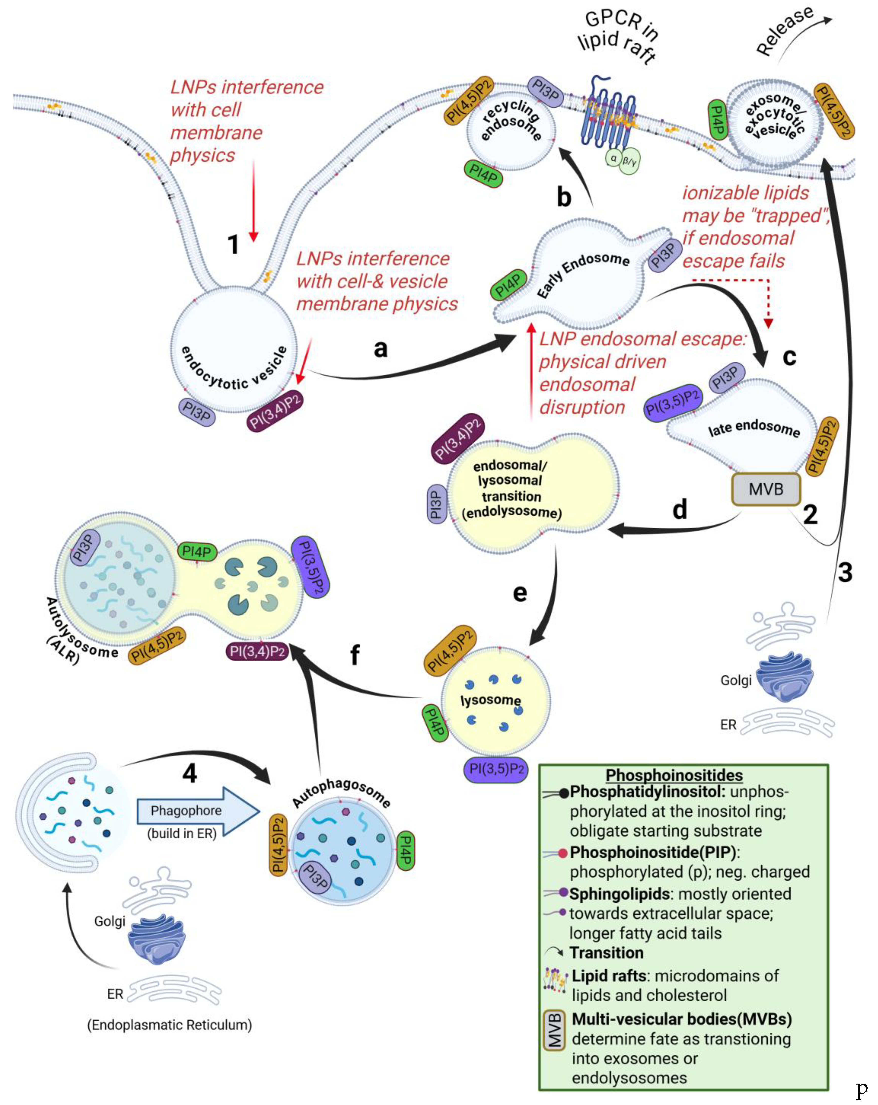 Preprints 200275 g004