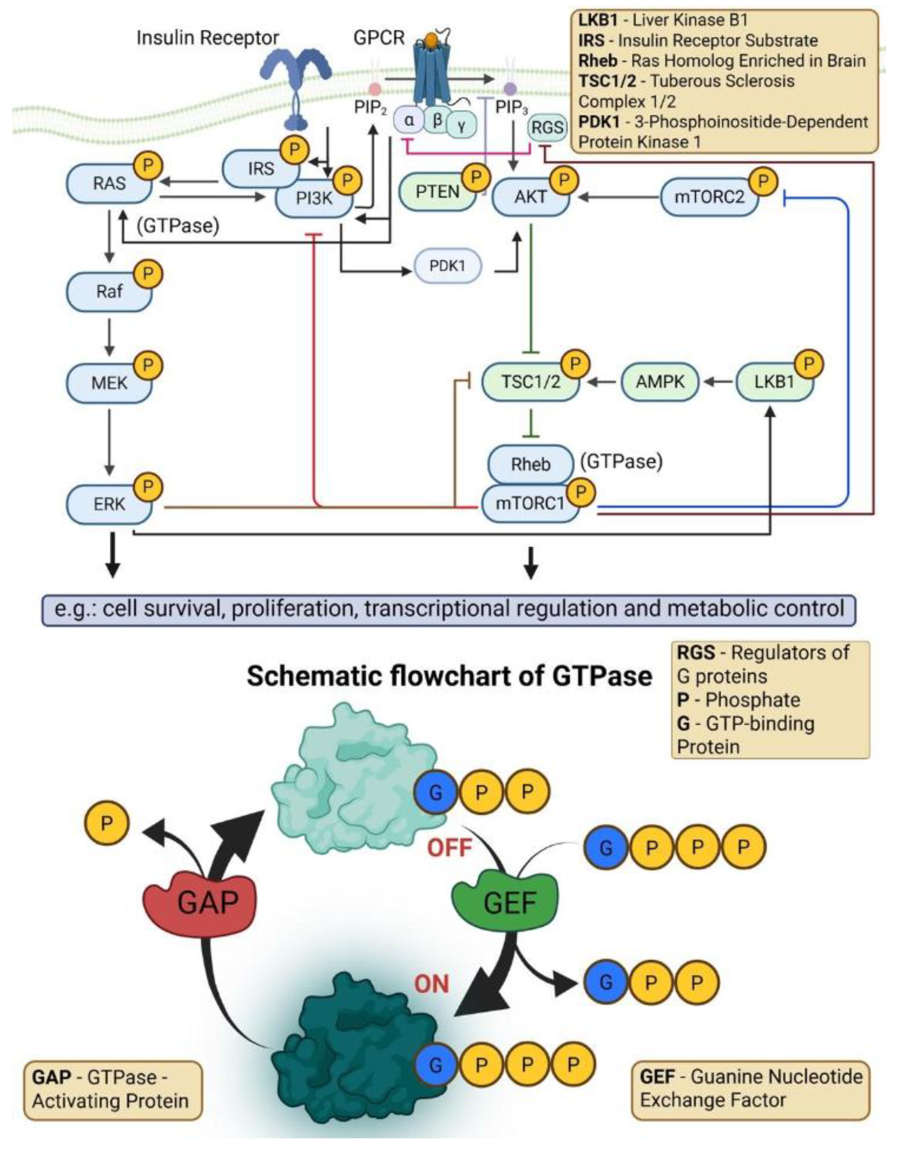 Preprints 200275 g005