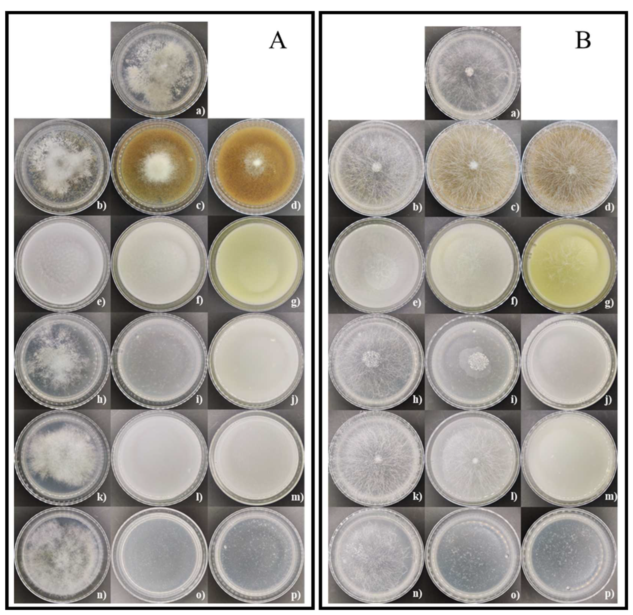 Preprints 148458 g005
