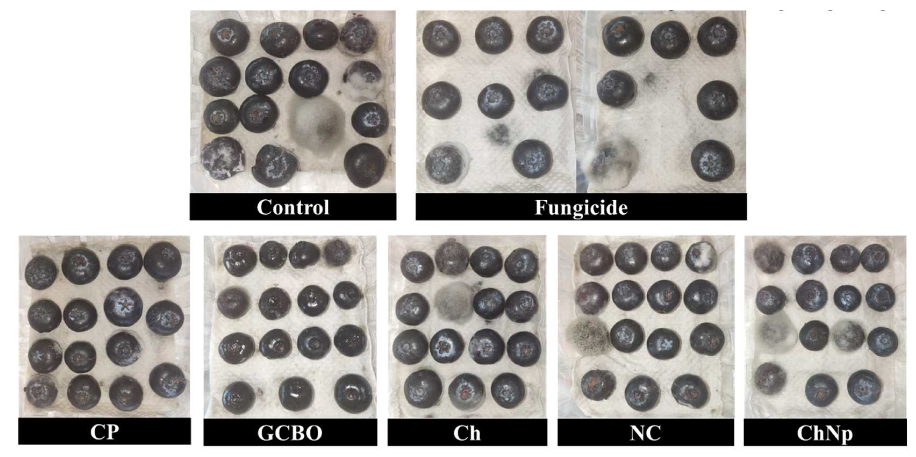 Preprints 148458 g008