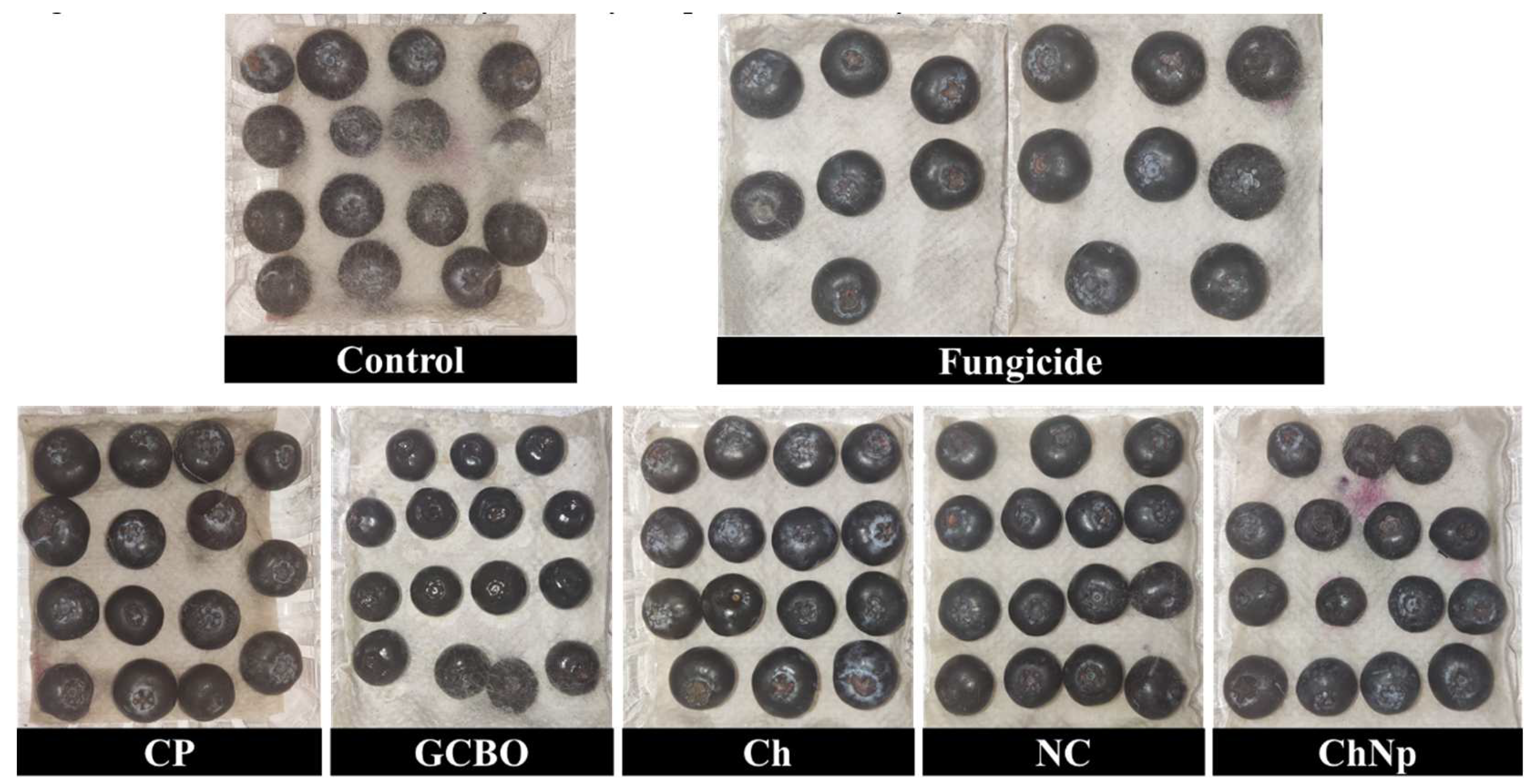 Preprints 148458 g009
