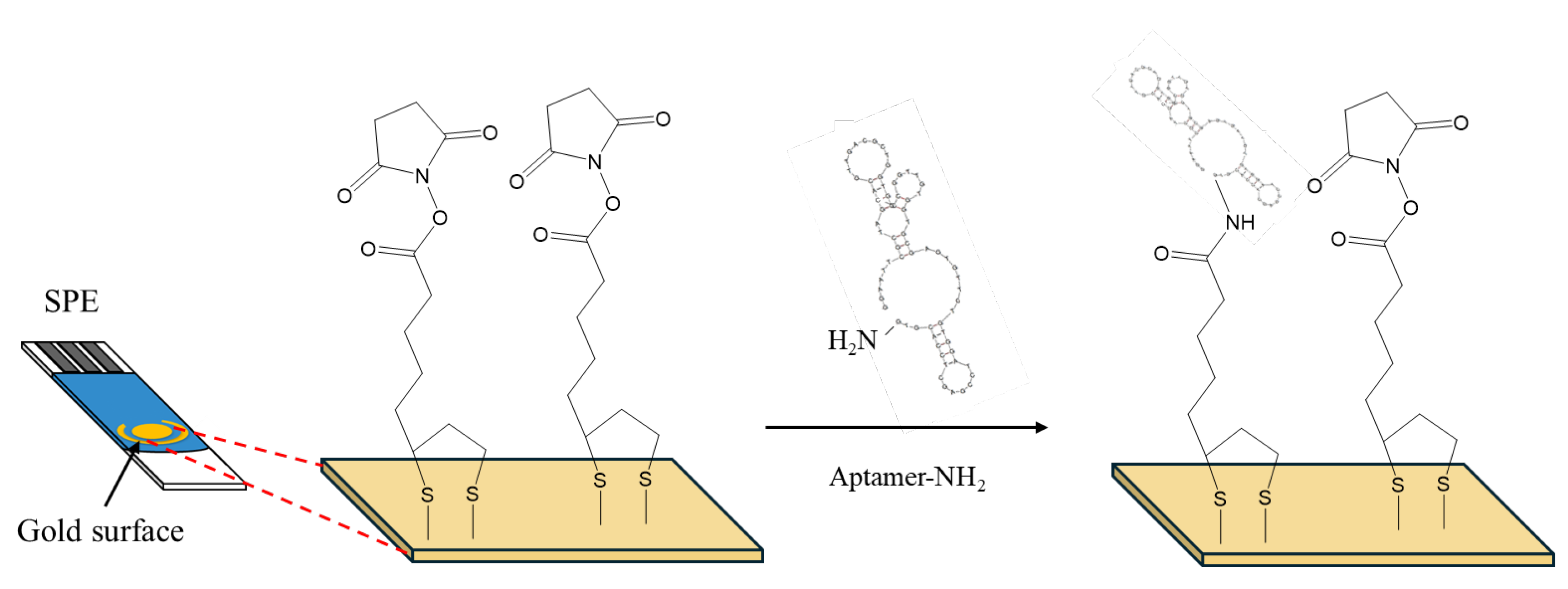 Preprints 110704 g001