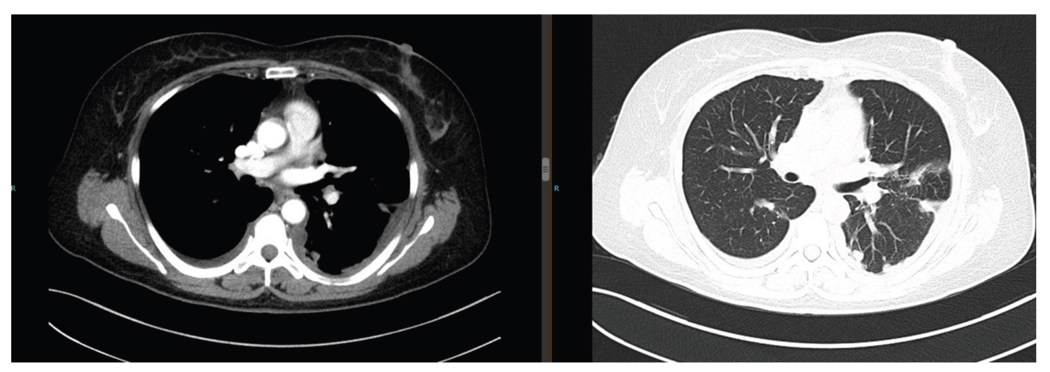 Preprints 186371 g001