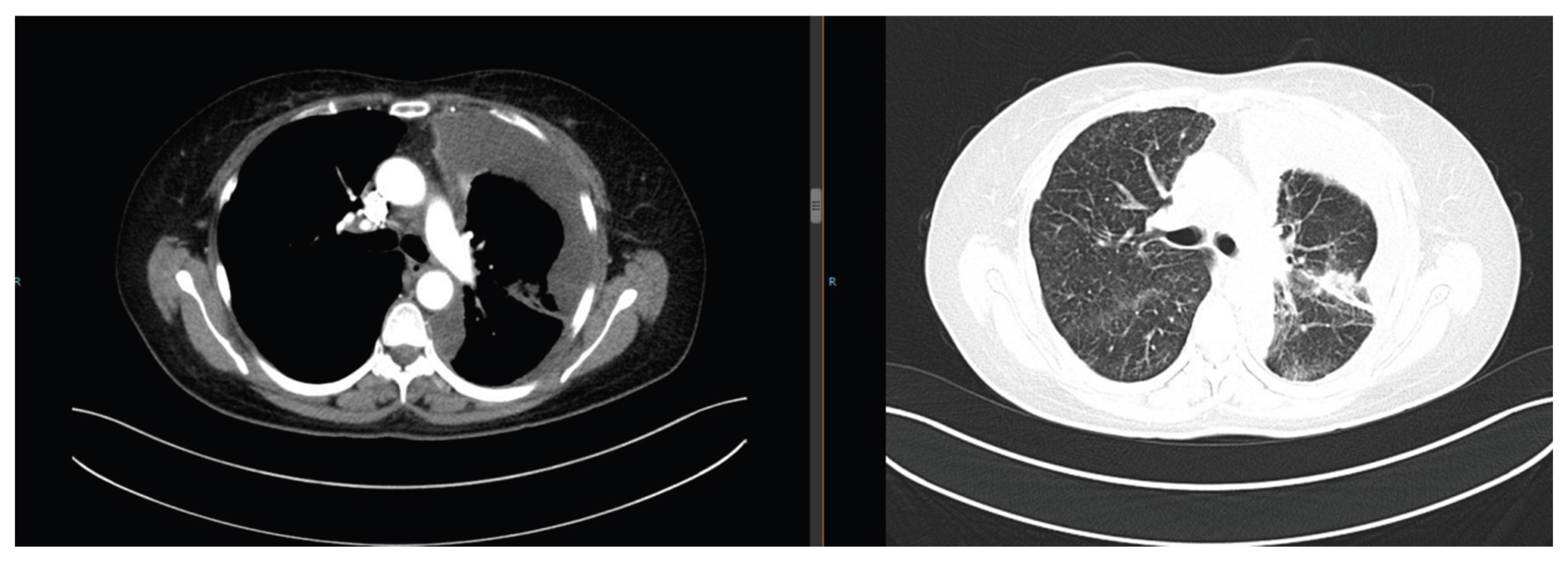 Preprints 186371 g005