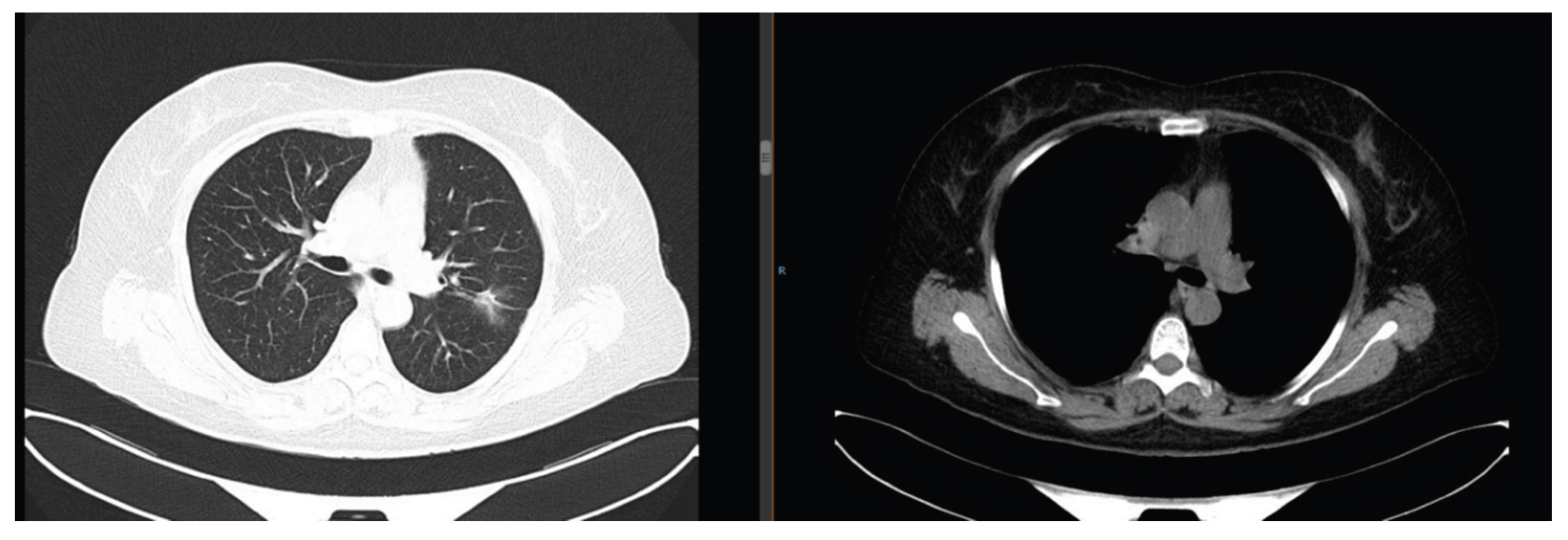 Preprints 186371 g006