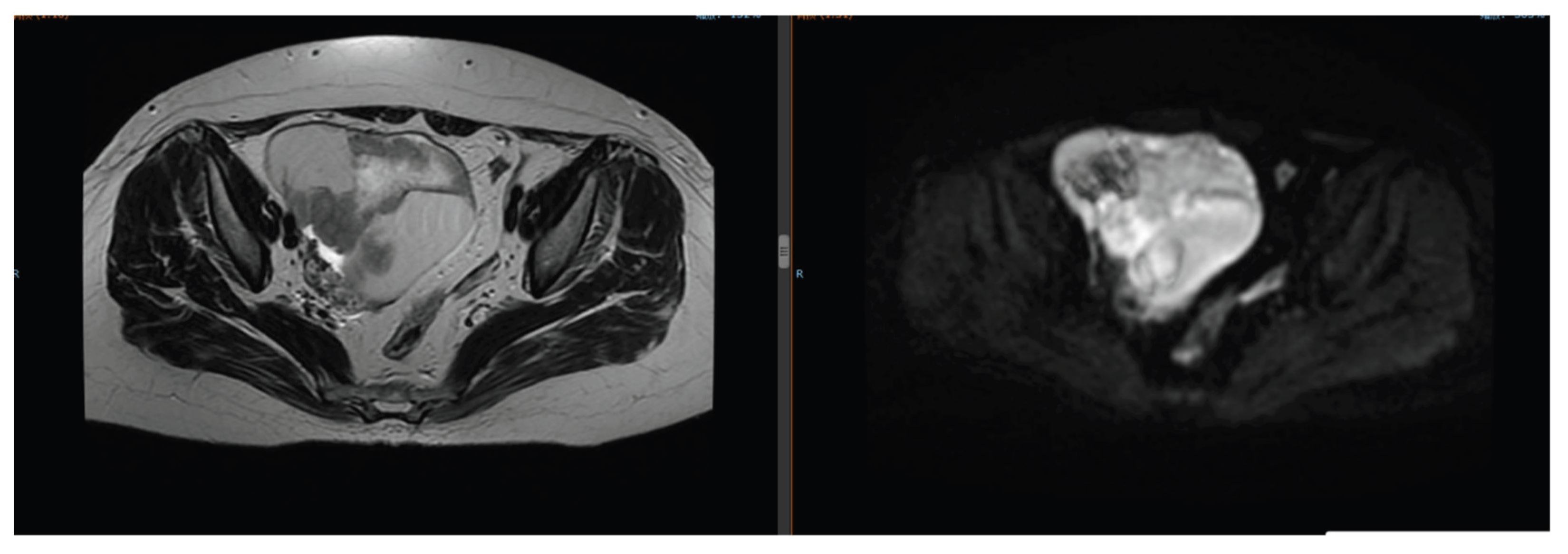 Preprints 186371 g007