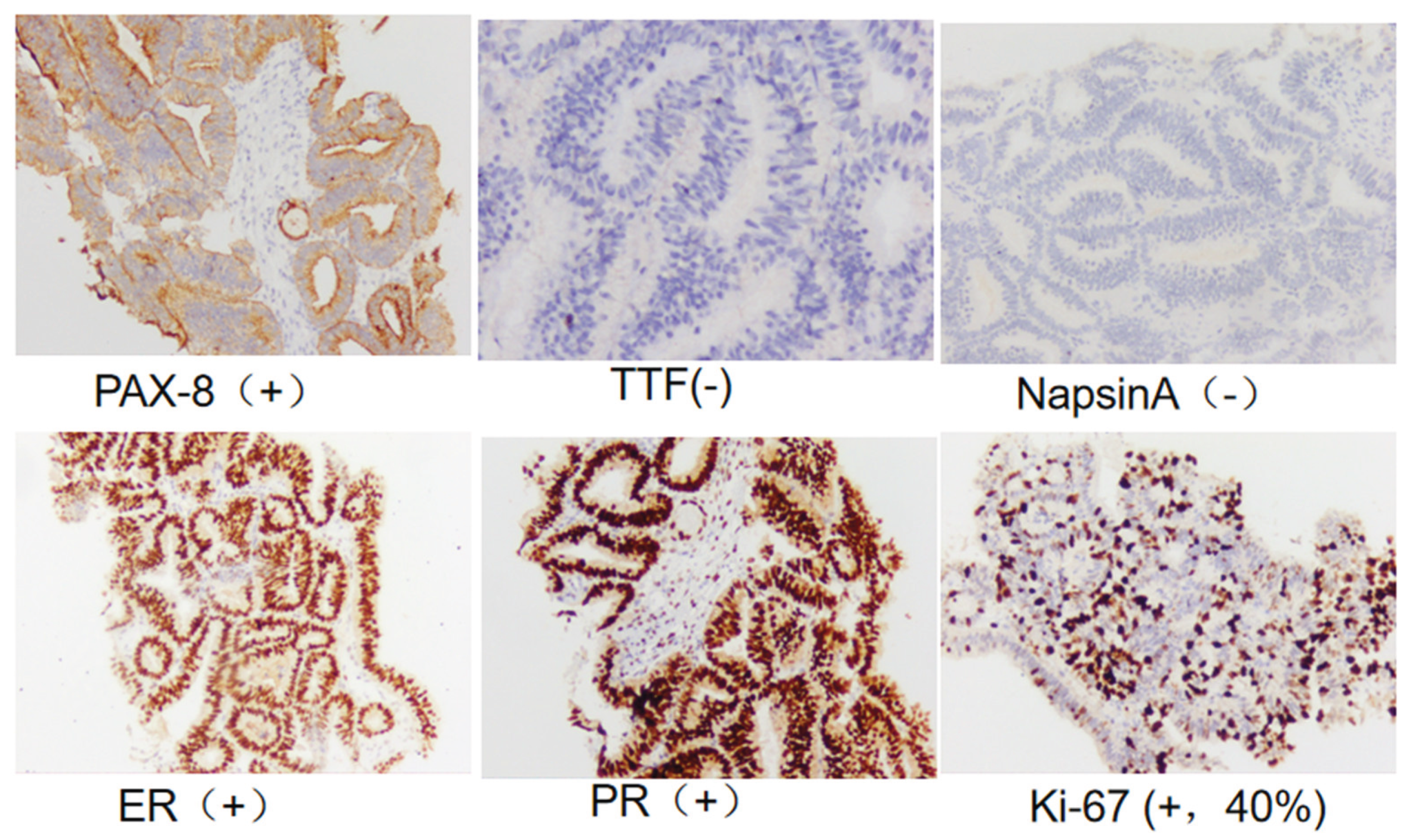 Preprints 186371 g008