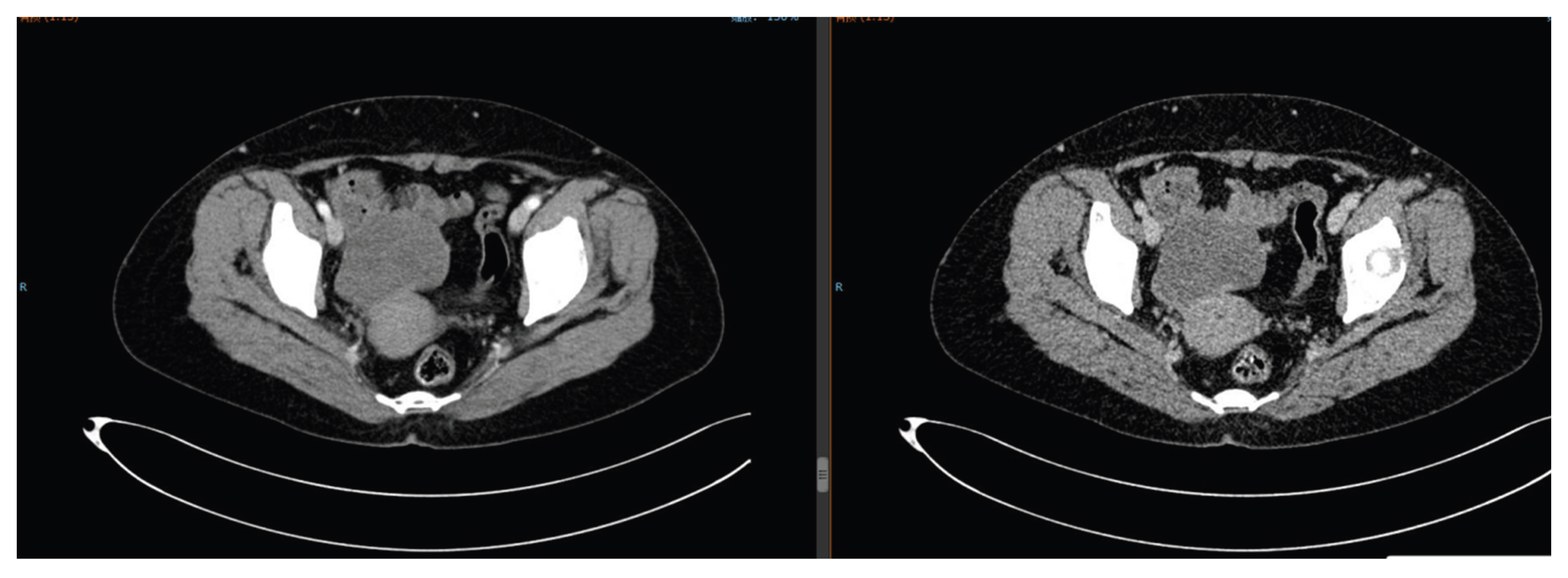 Preprints 186371 g009