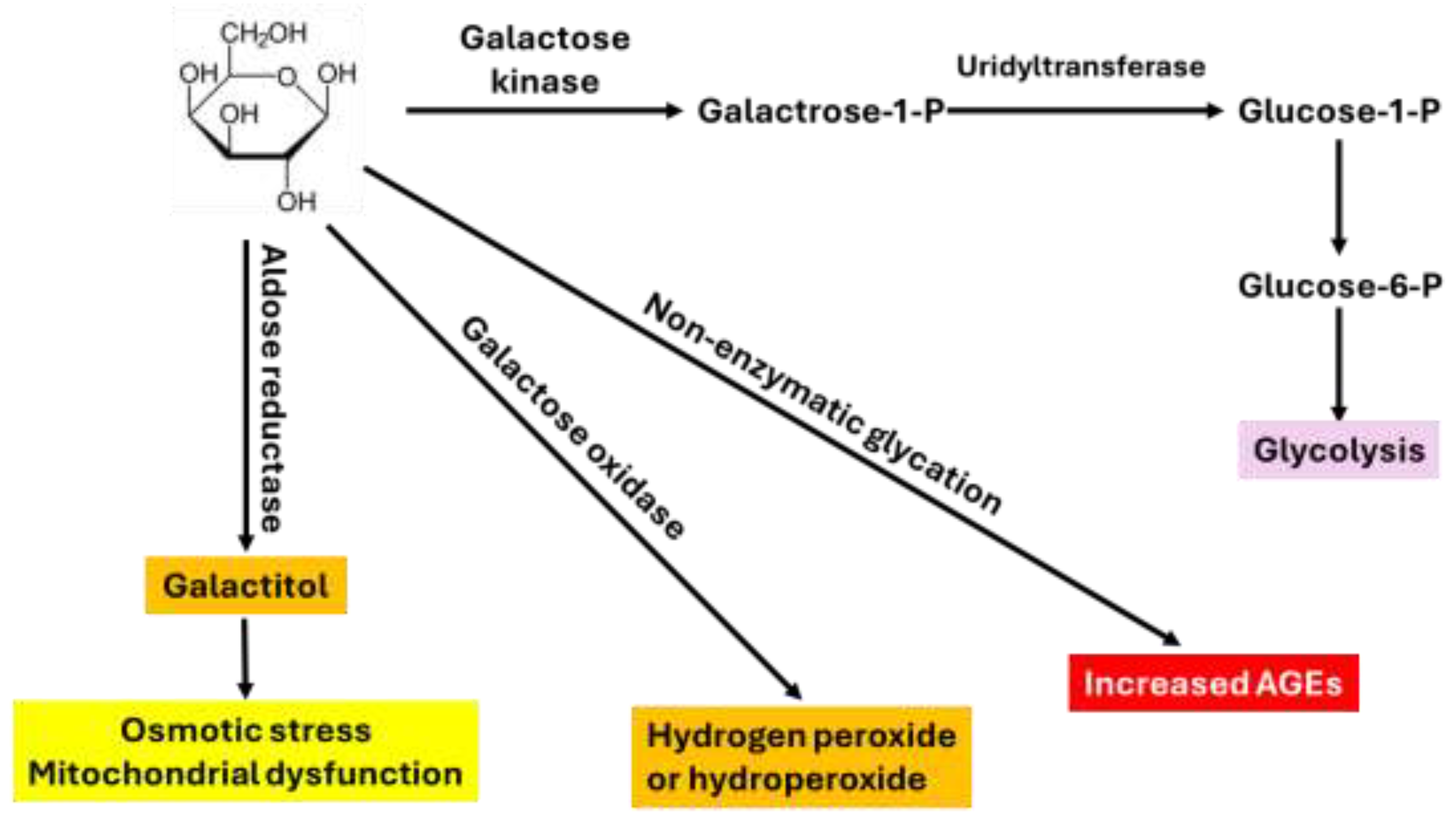 Preprints 195157 g001