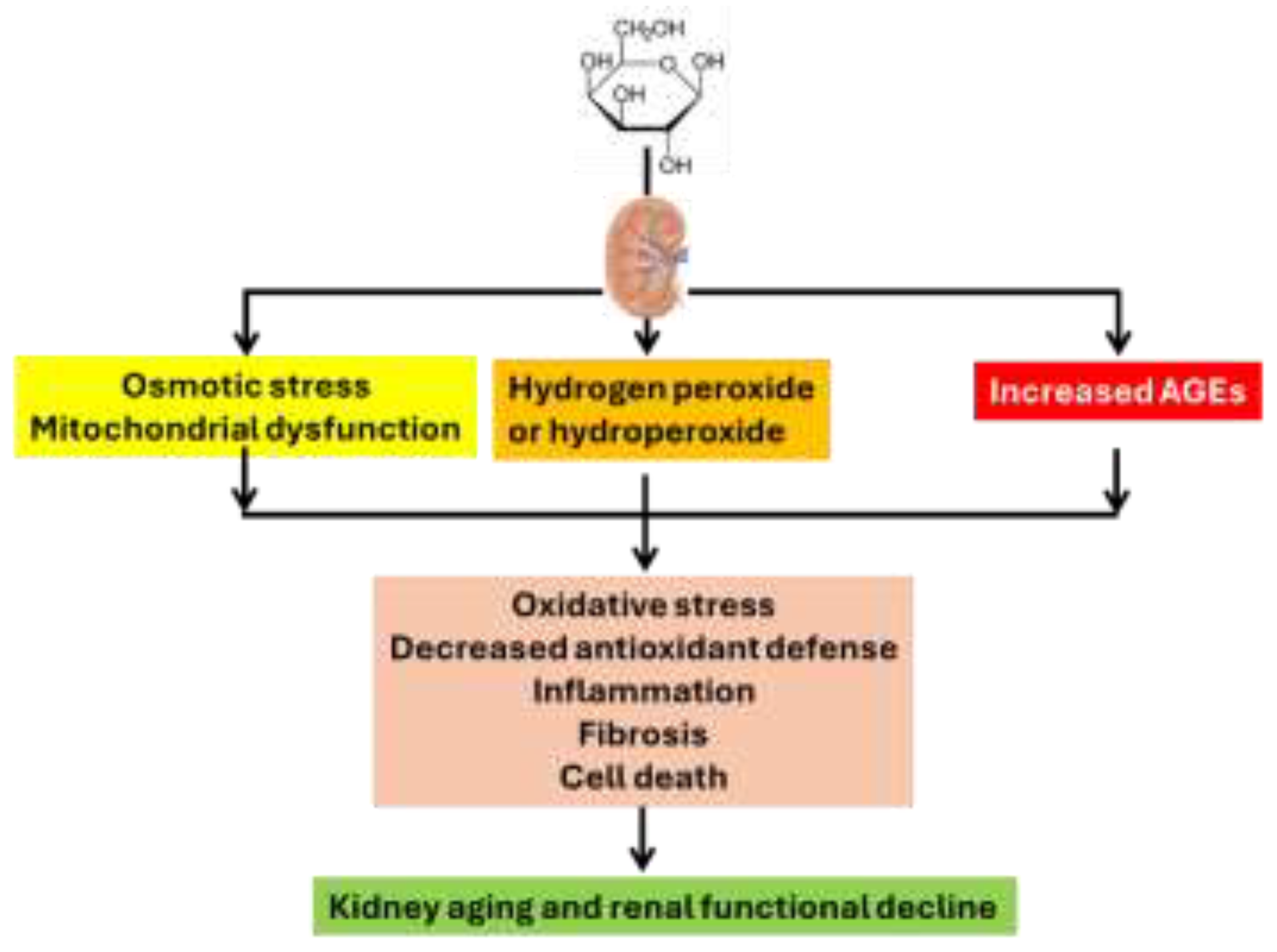 Preprints 195157 g002