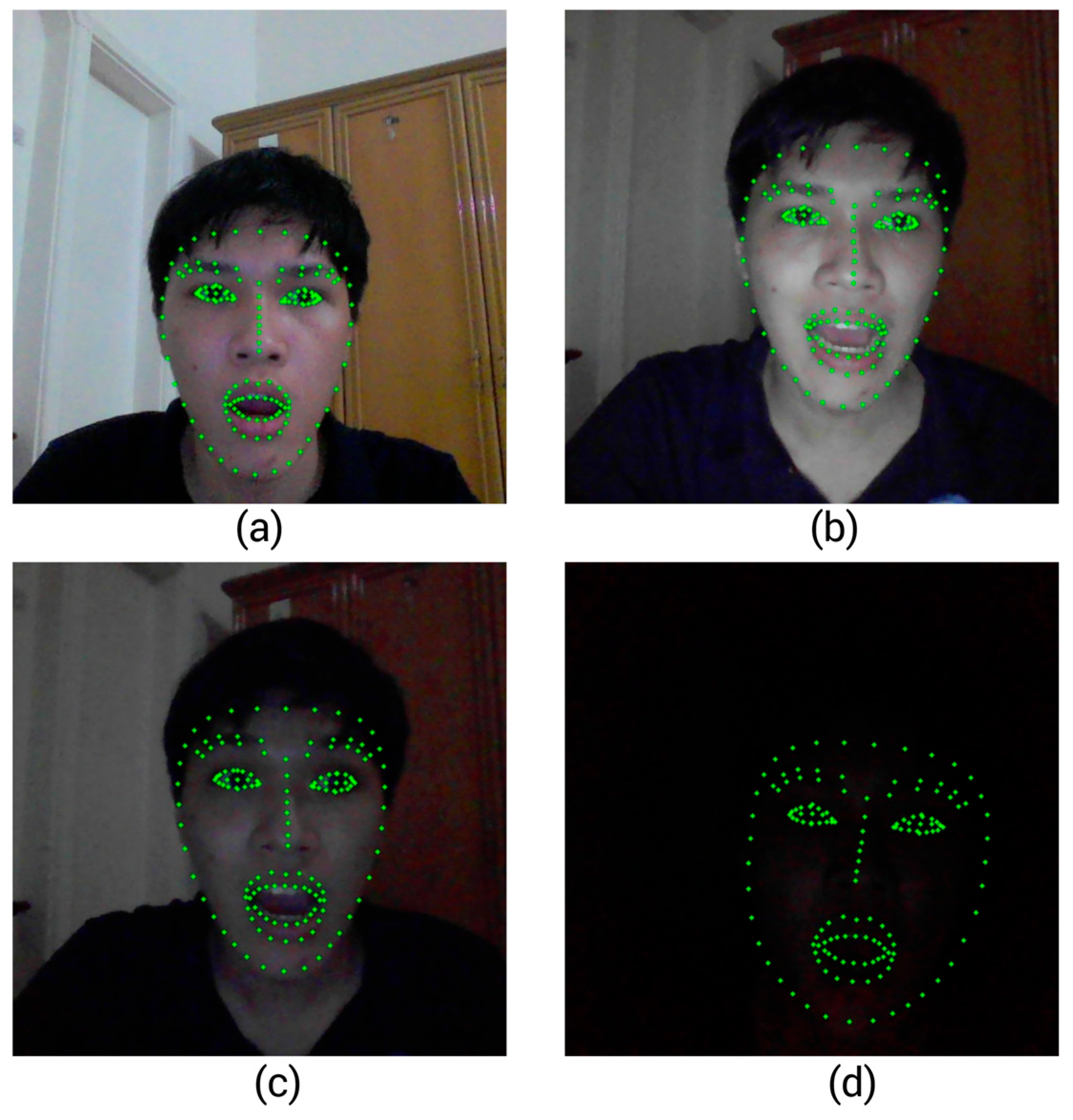 Preprints 168561 g008