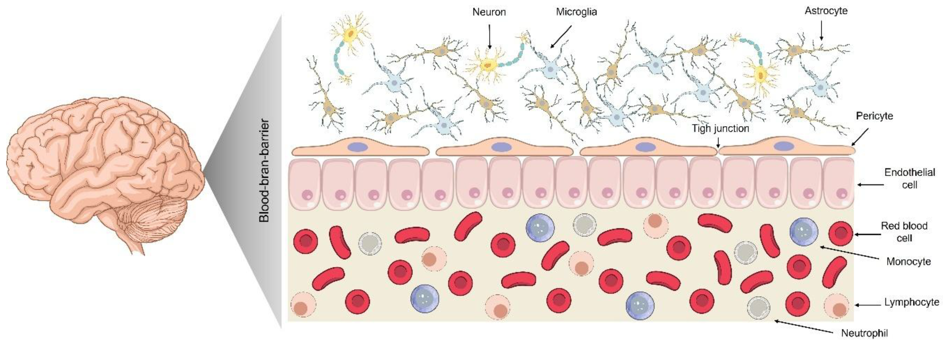 Preprints 166952 g001