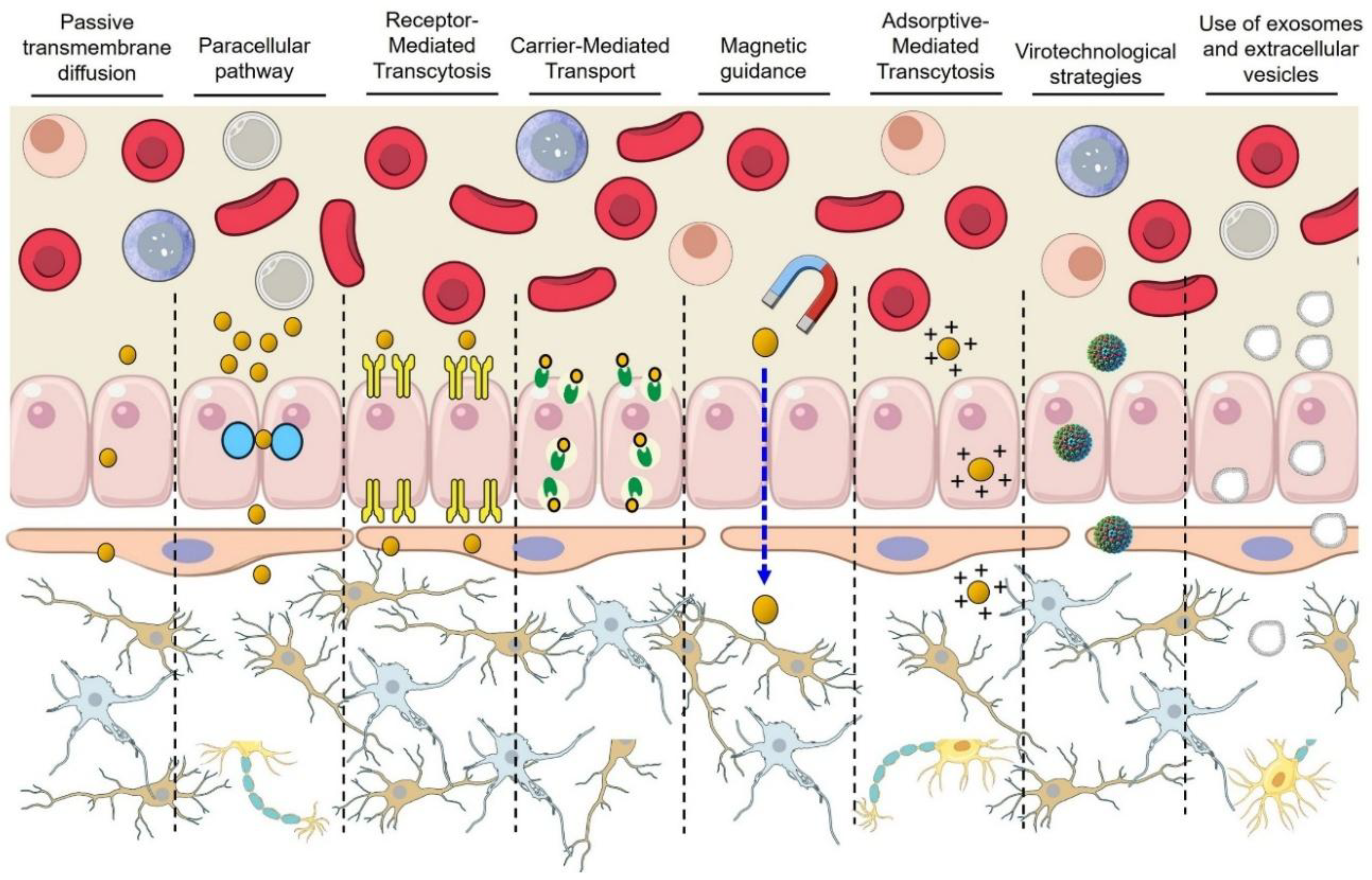 Preprints 166952 g003