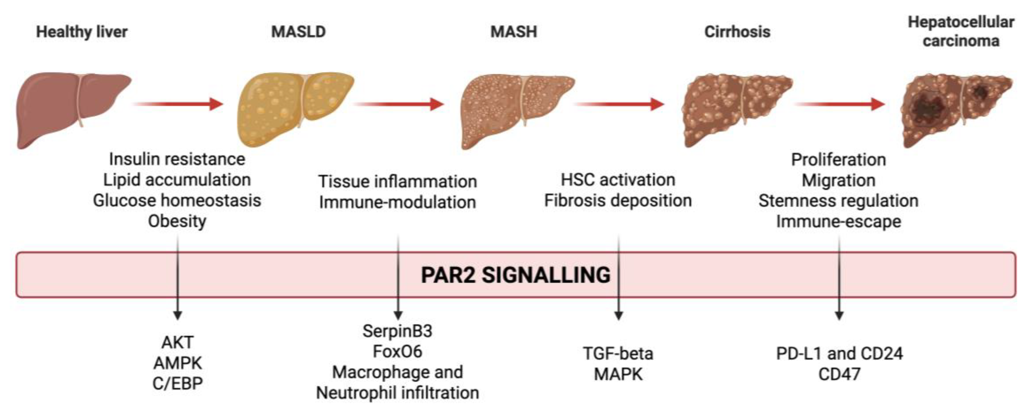 Preprints 164253 g001