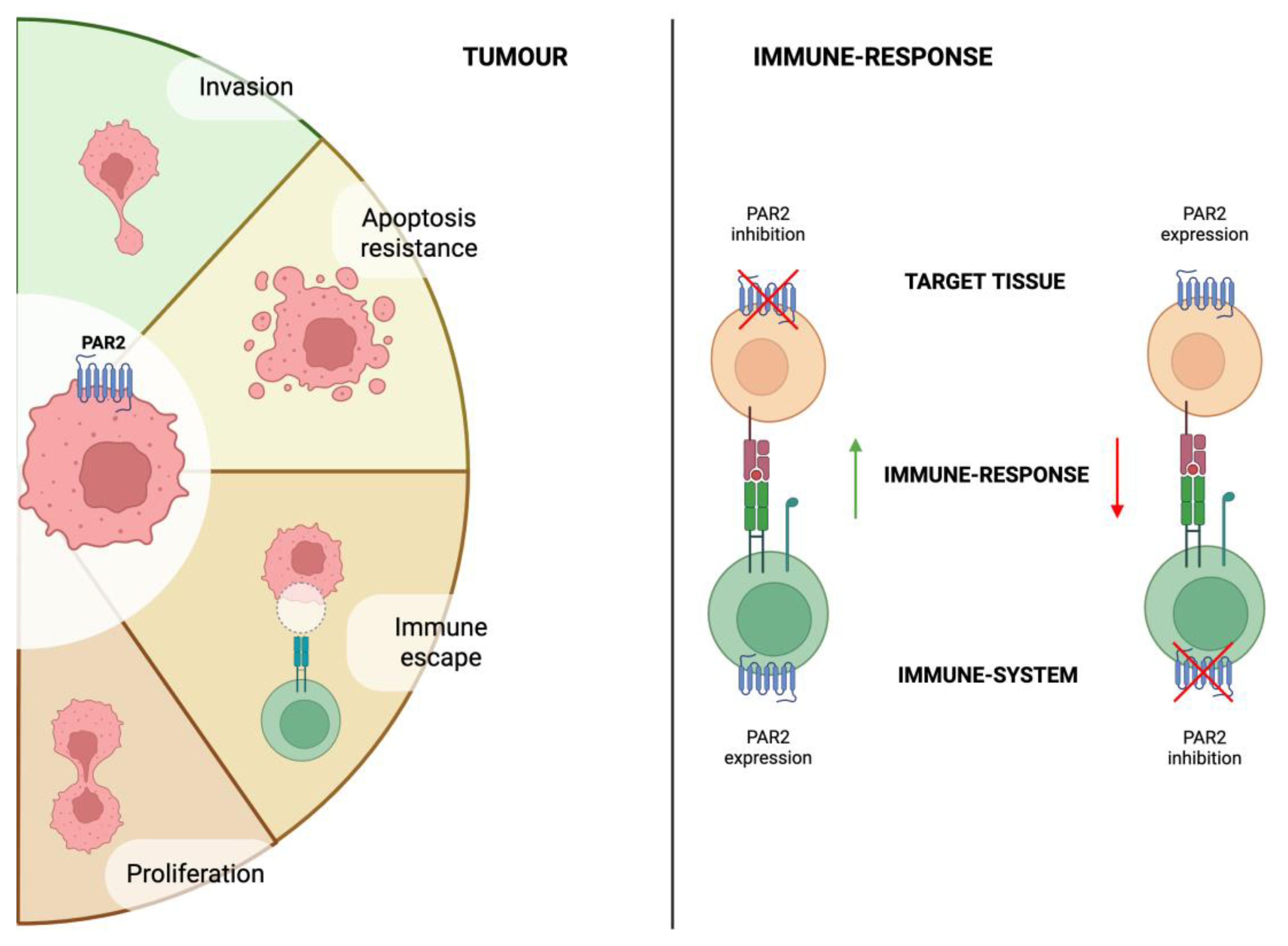 Preprints 164253 g002