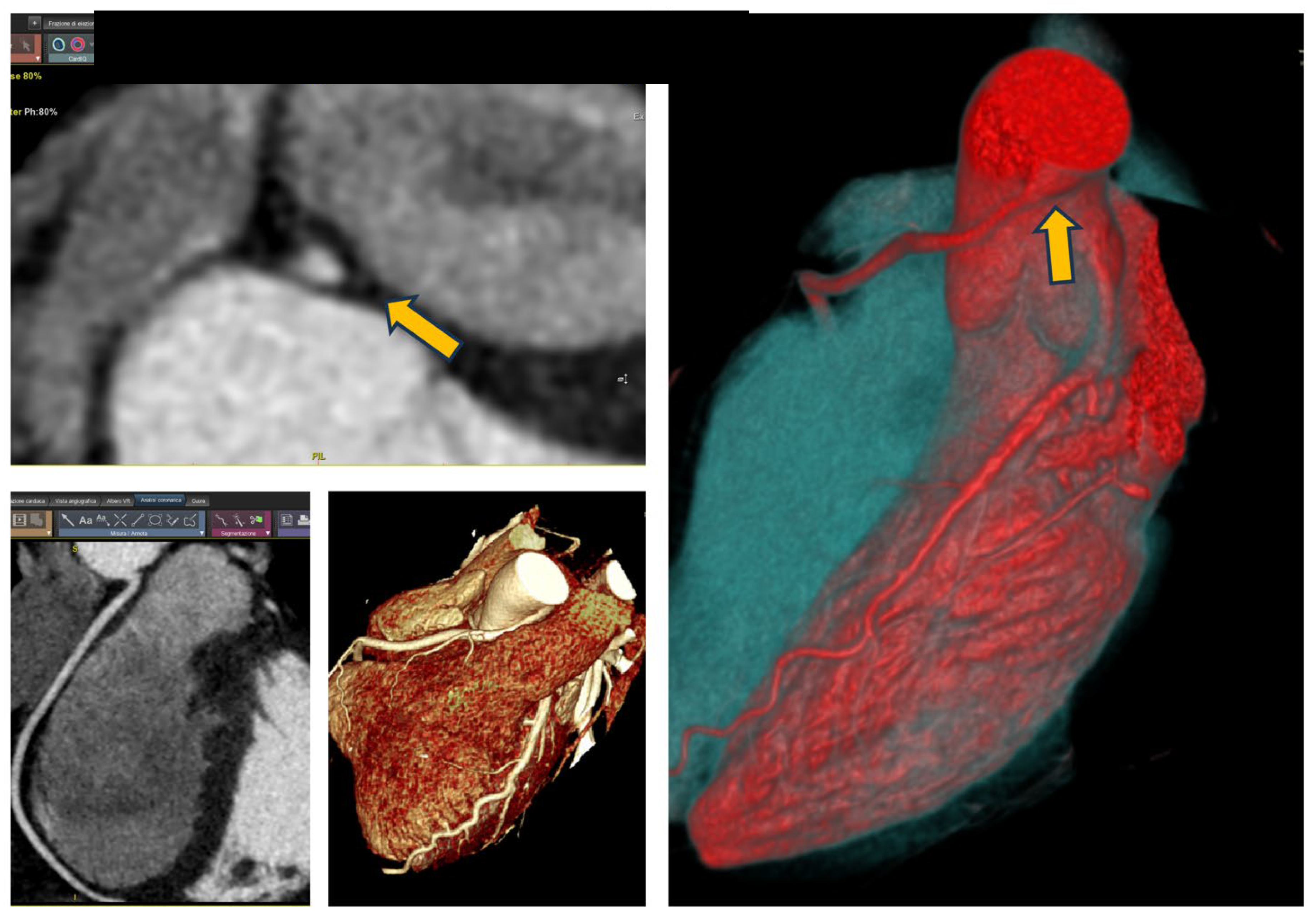 Preprints 137808 g001