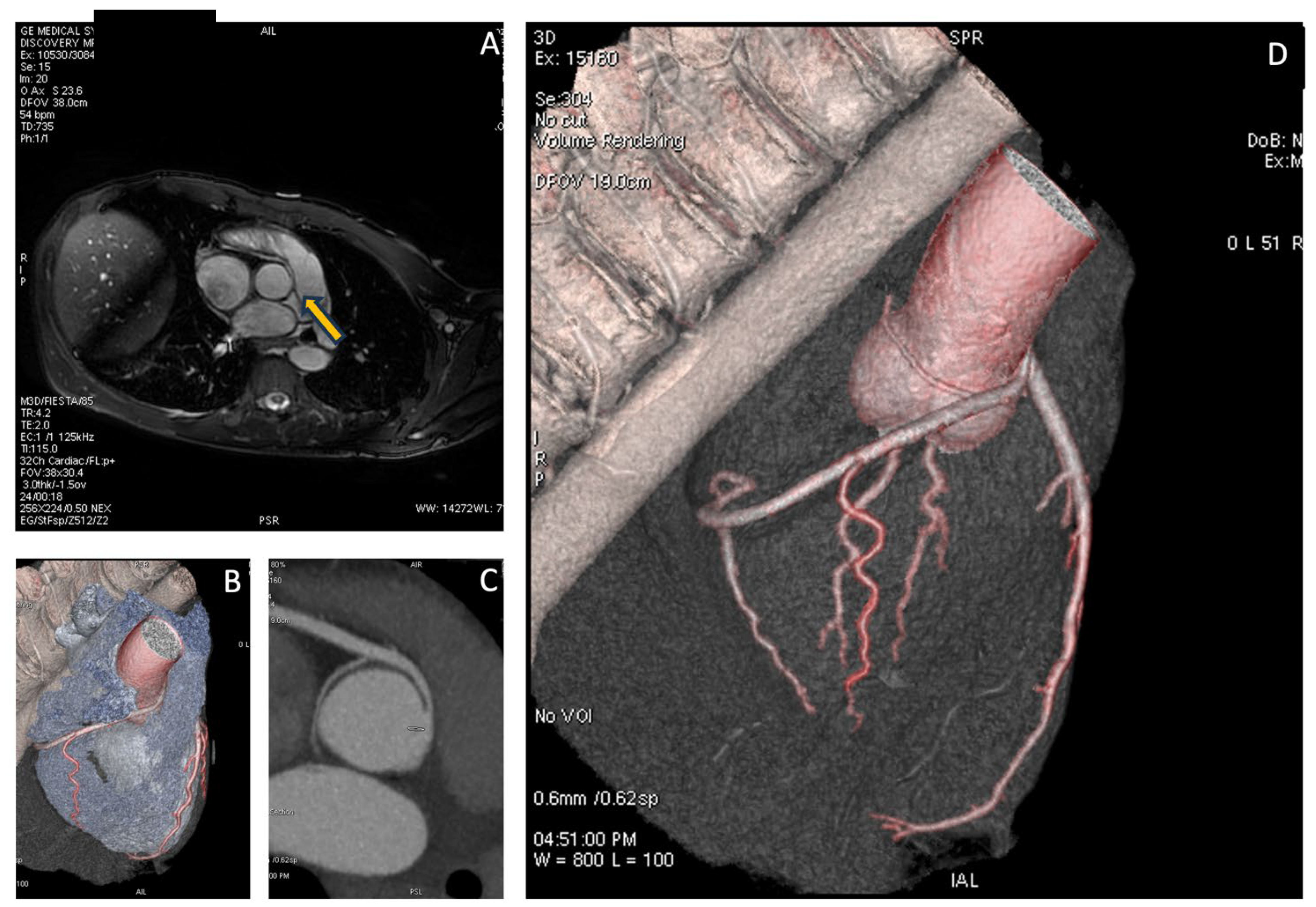 Preprints 137808 g003