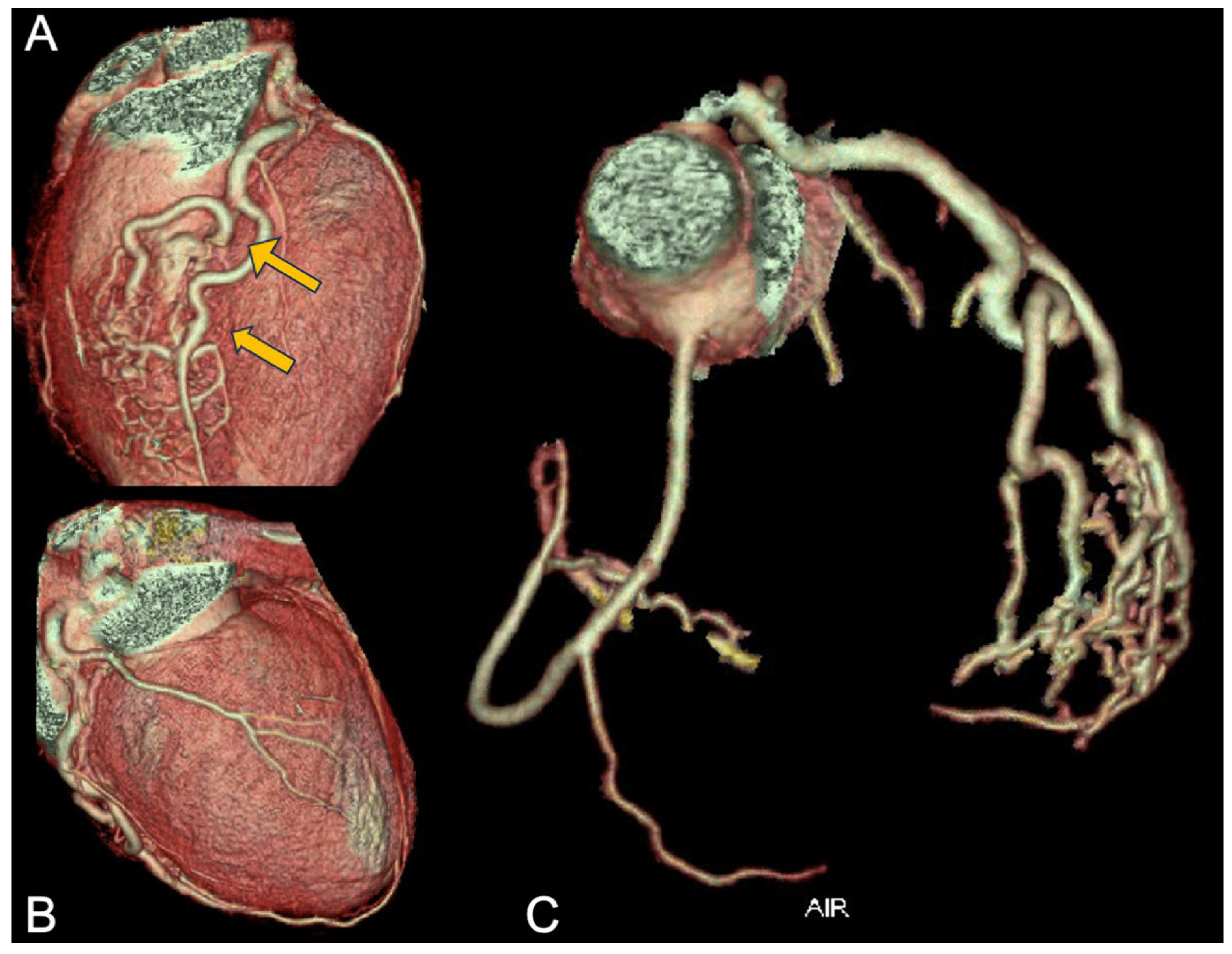 Preprints 137808 g004