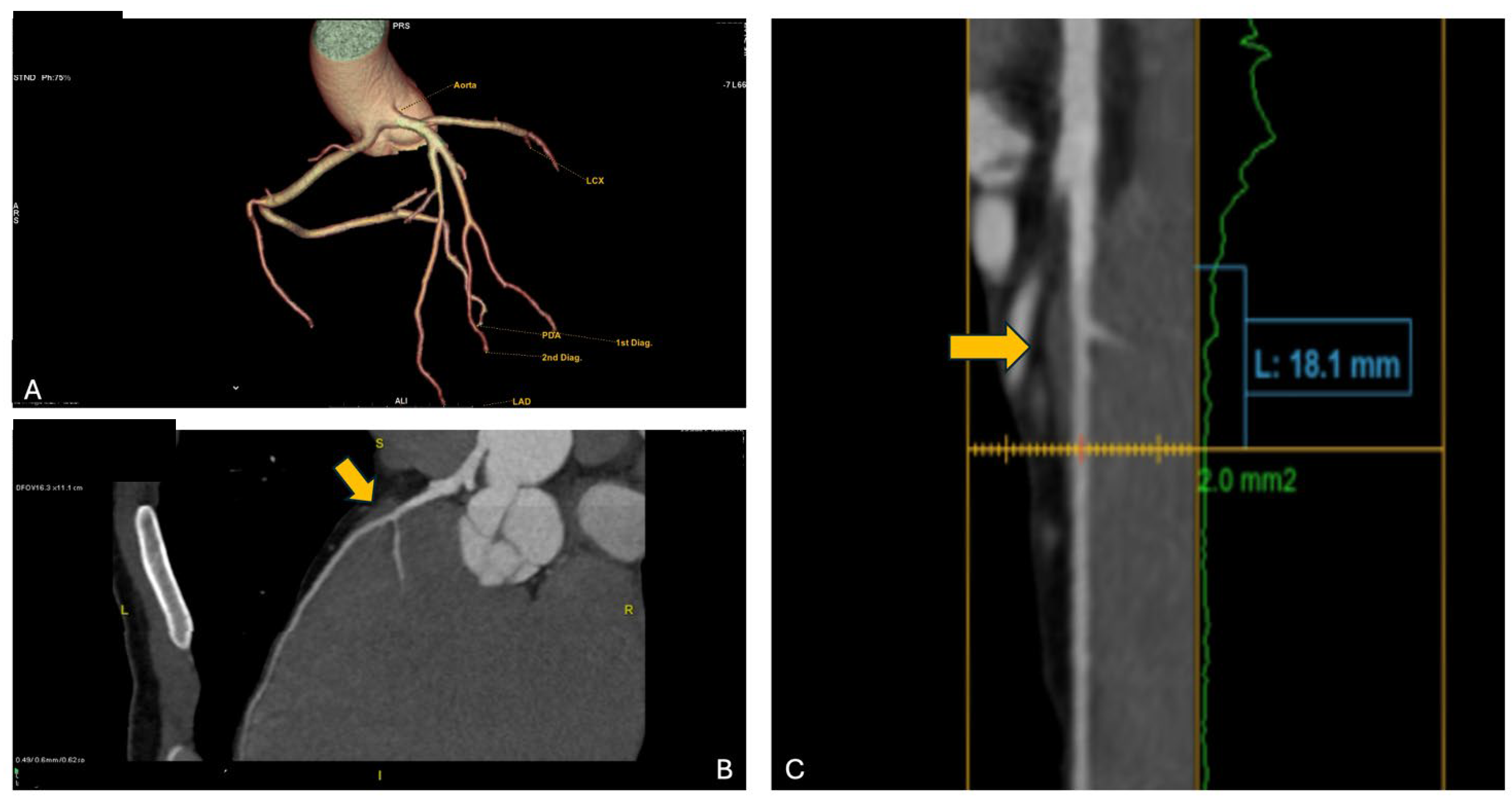 Preprints 137808 g005