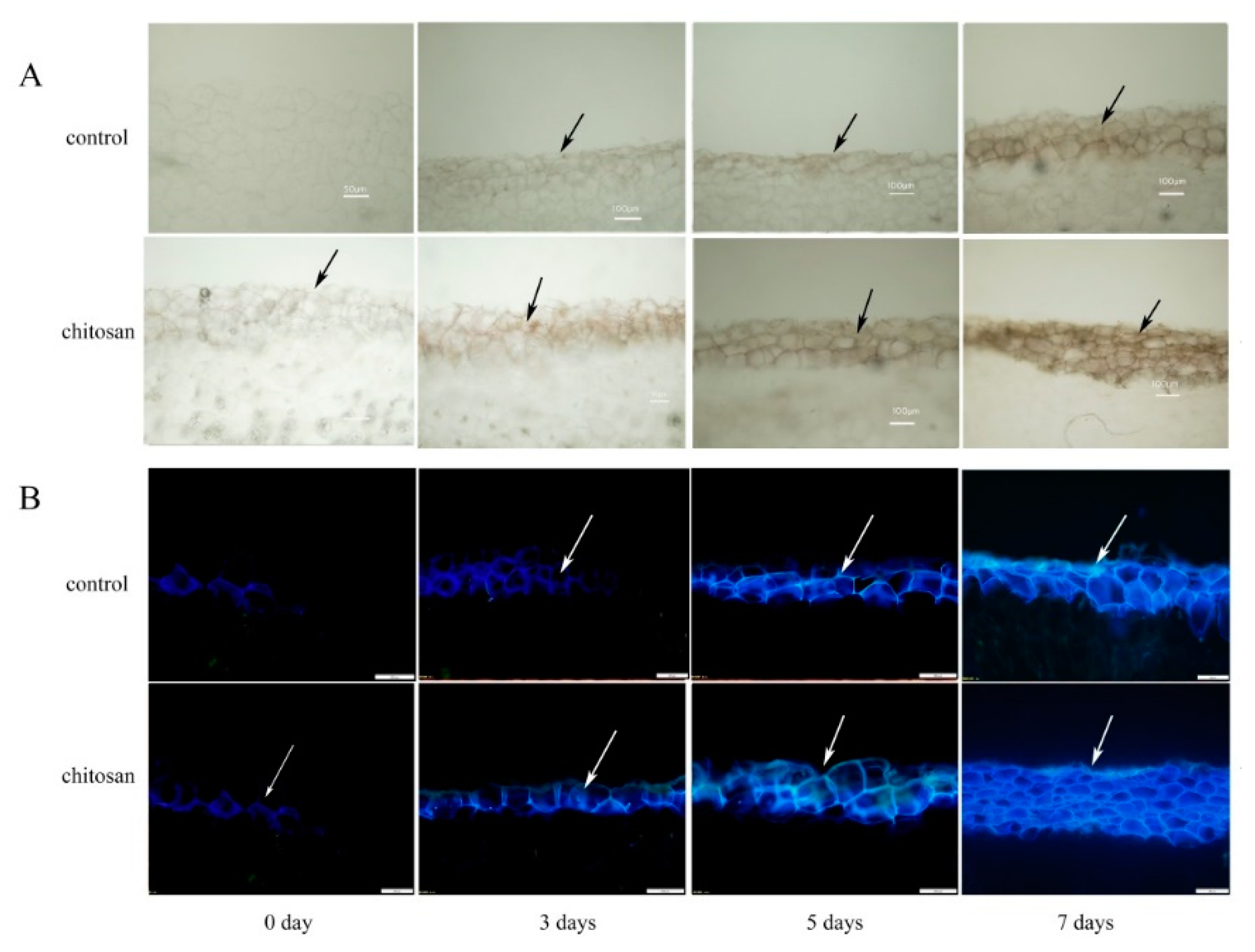 Preprints 73254 g002