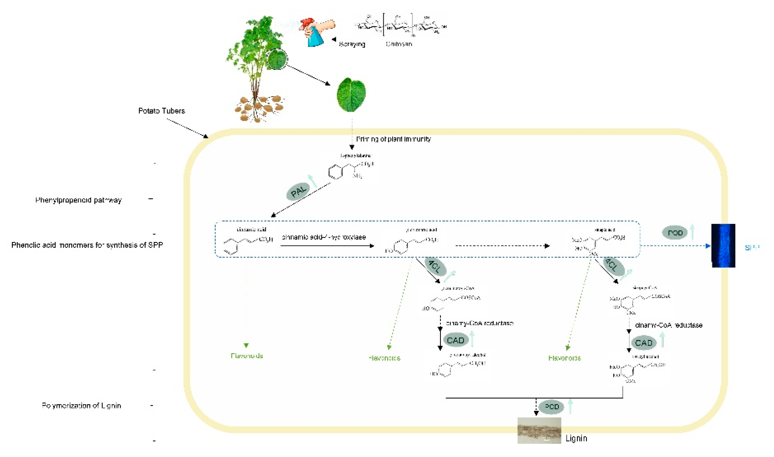 Preprints 73254 g006