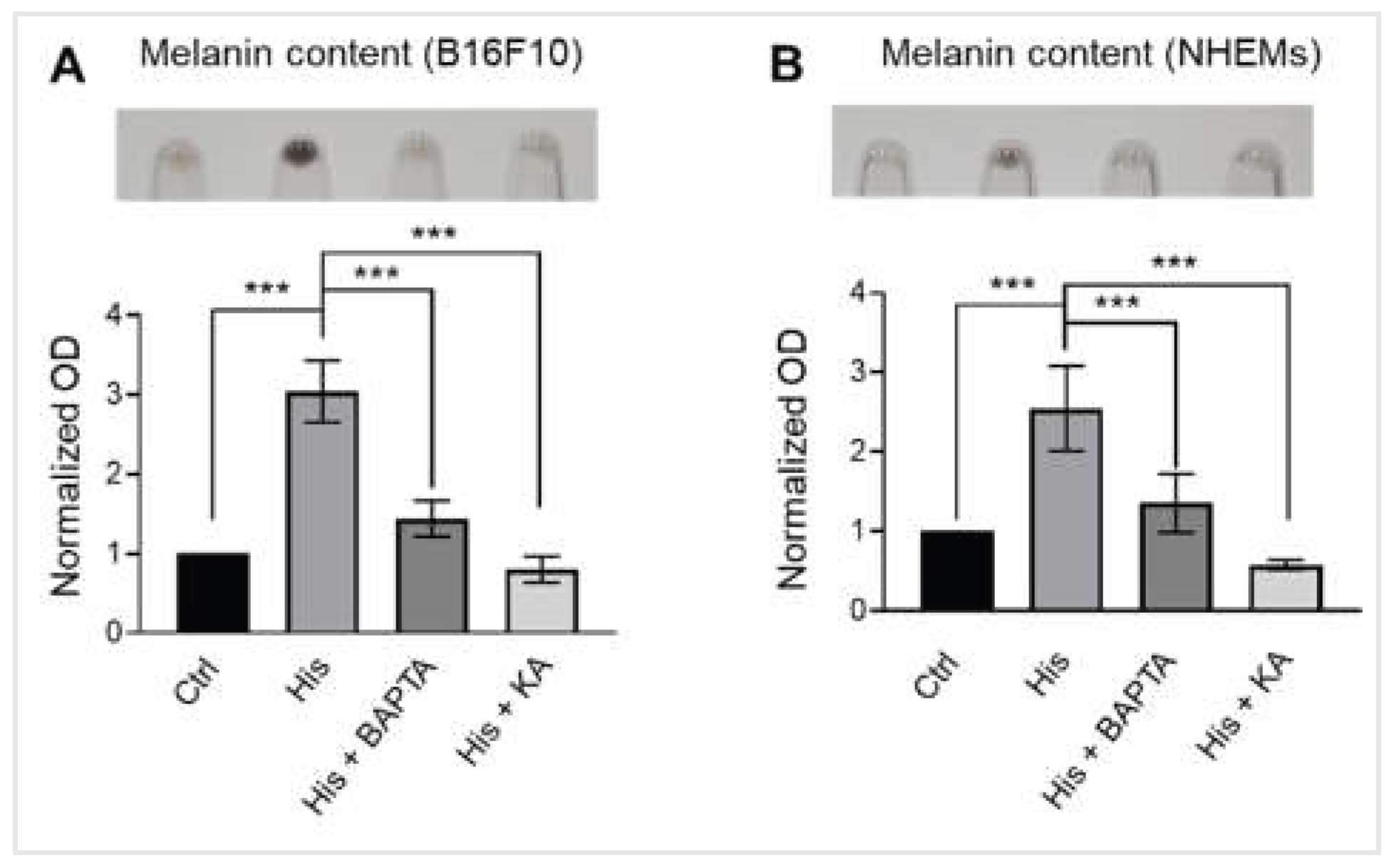 Preprints 192360 g004
