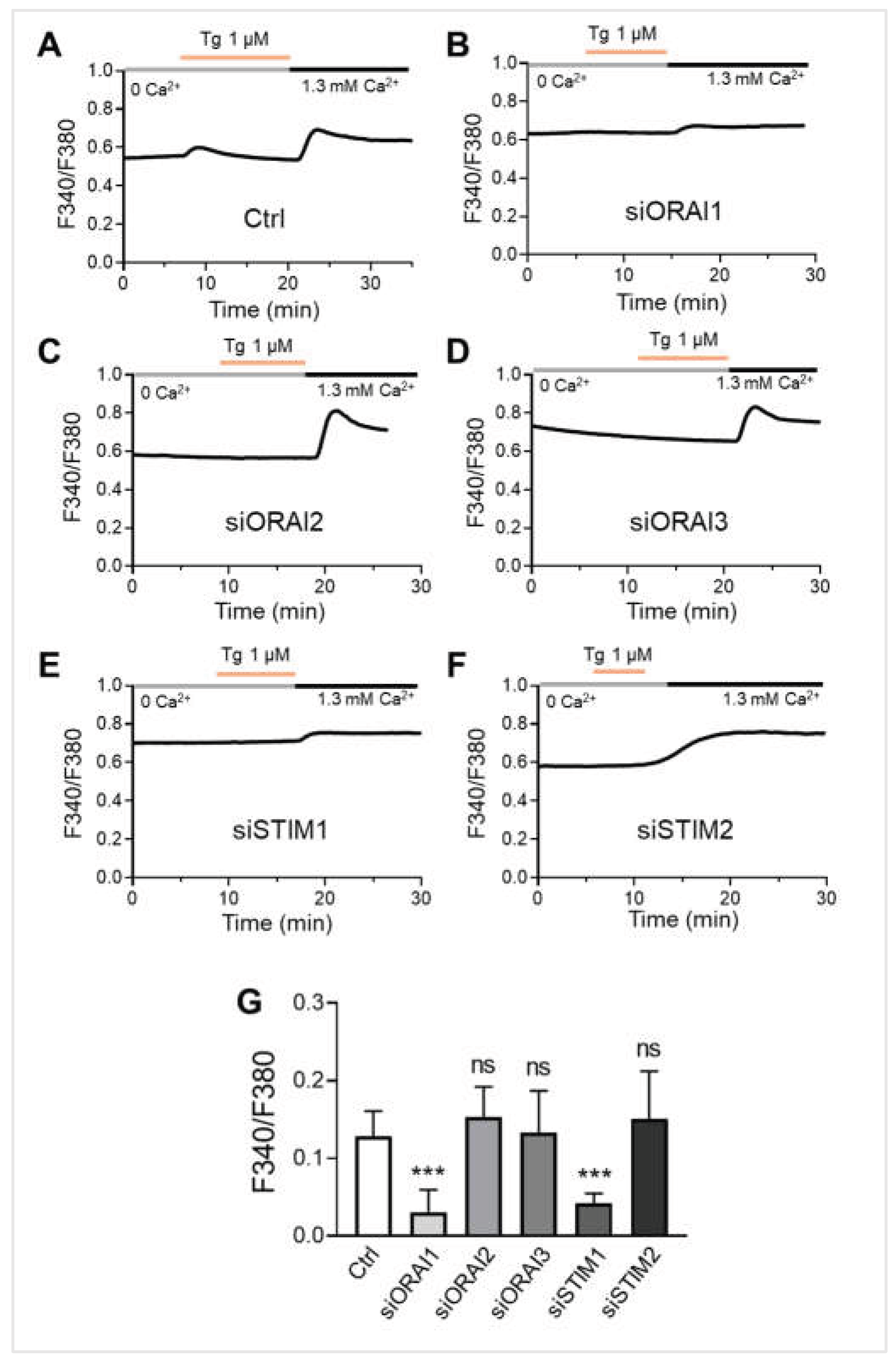 Preprints 192360 g005