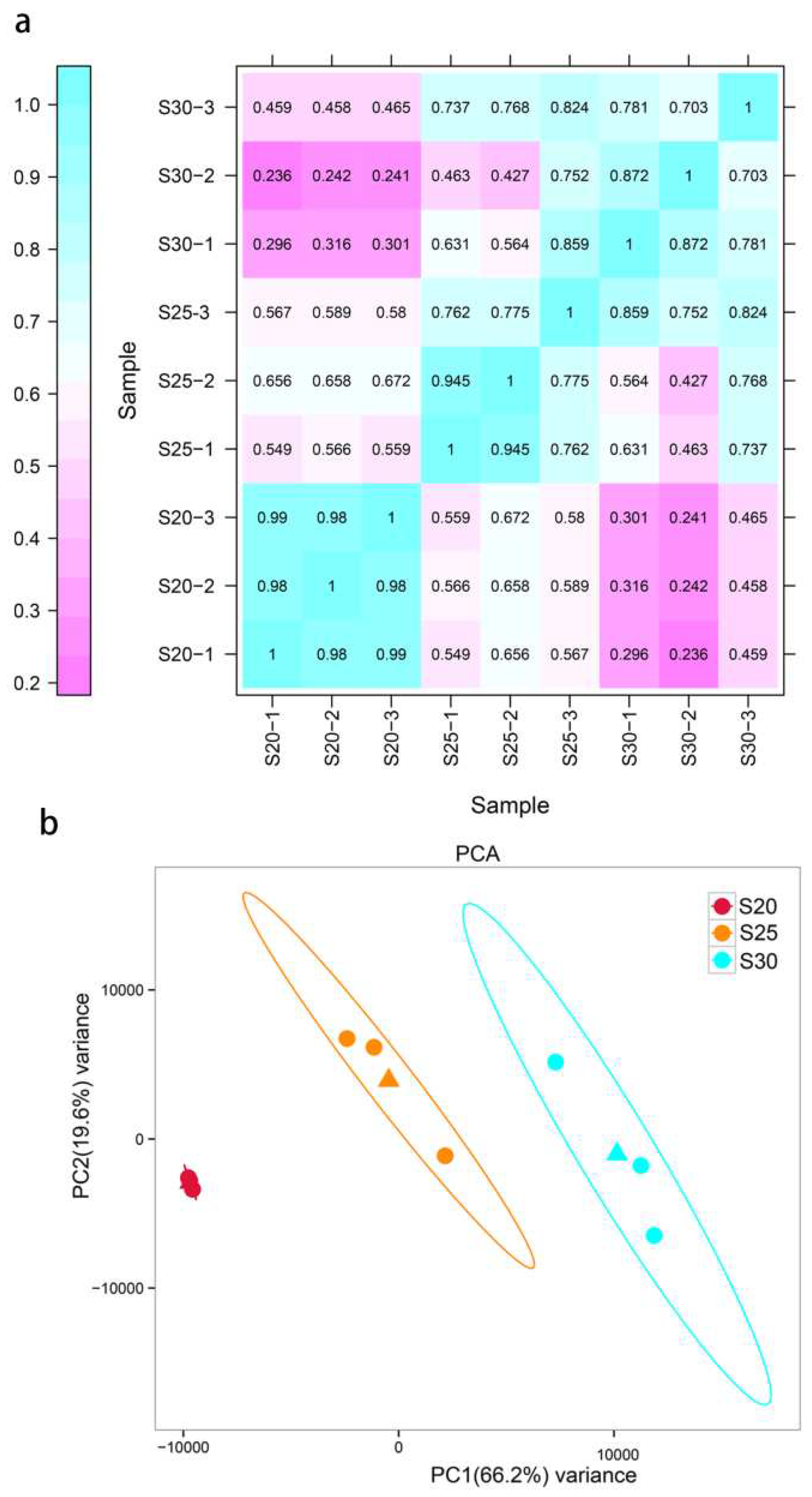 Preprints 67029 g003