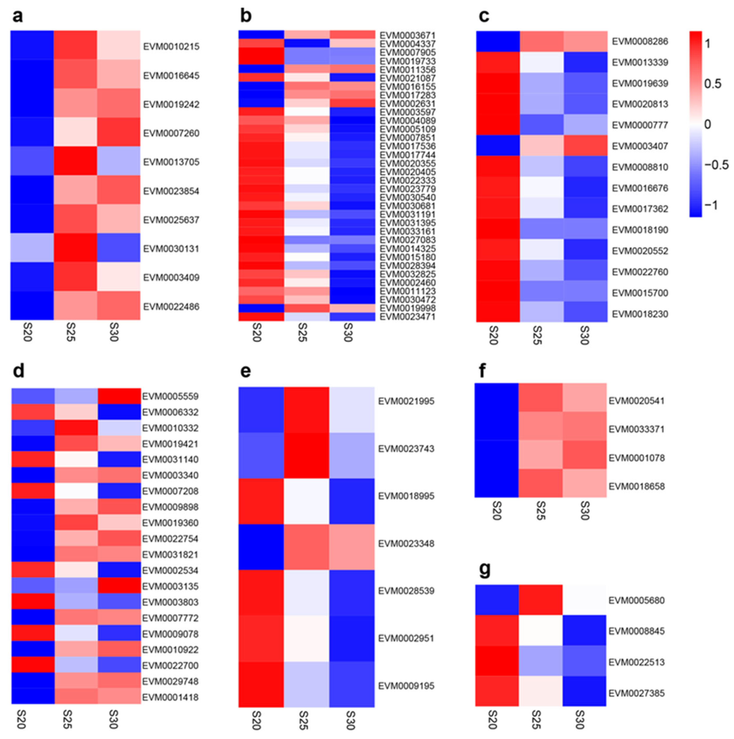 Preprints 67029 g006