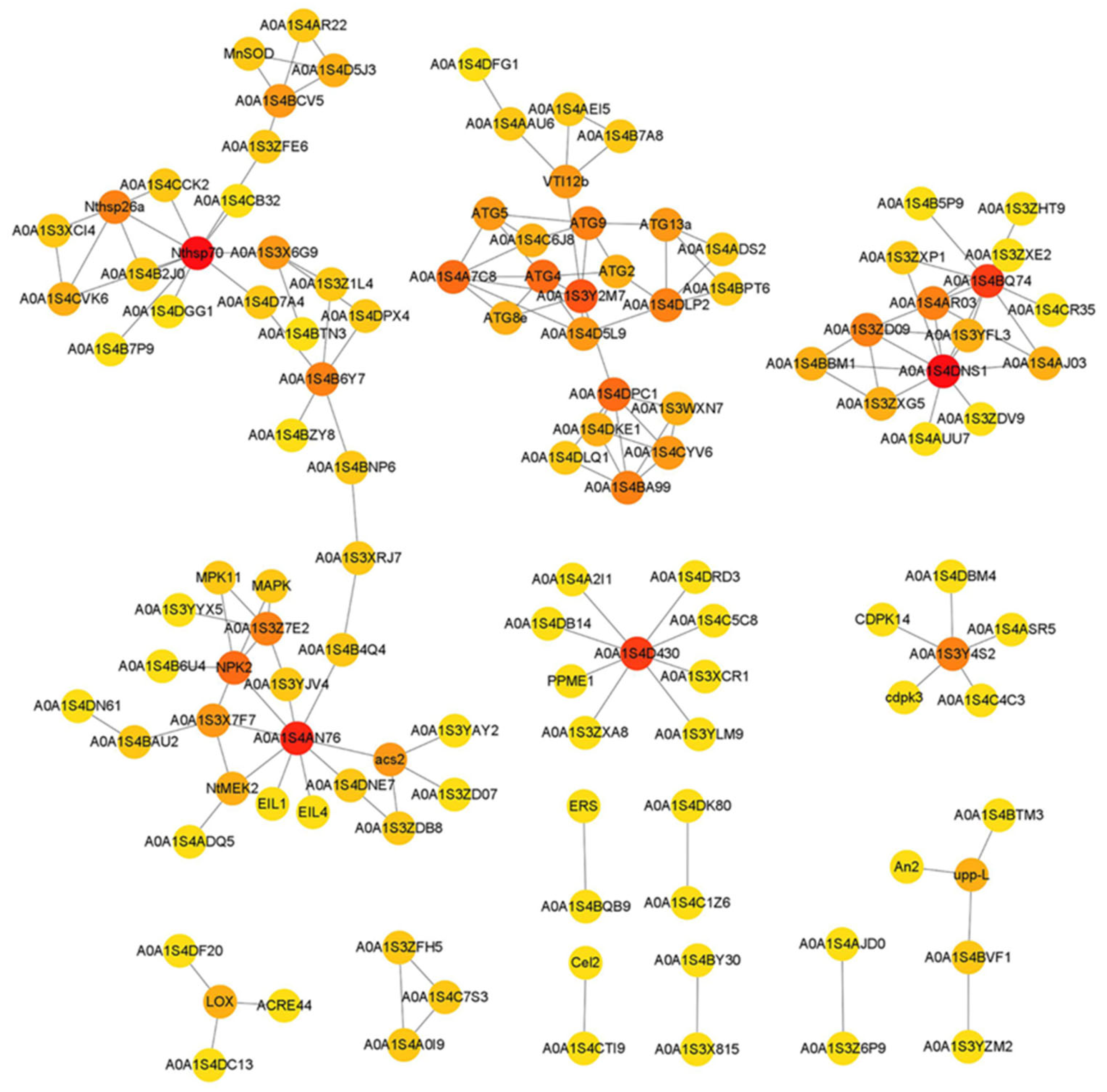 Preprints 67029 g007