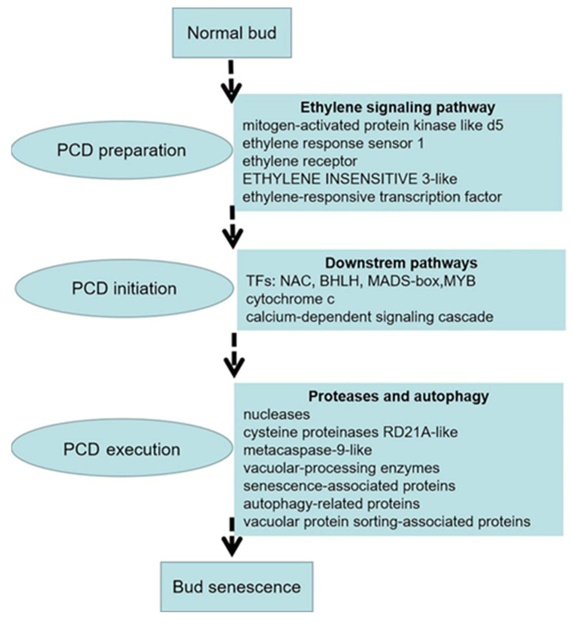 Preprints 67029 g009
