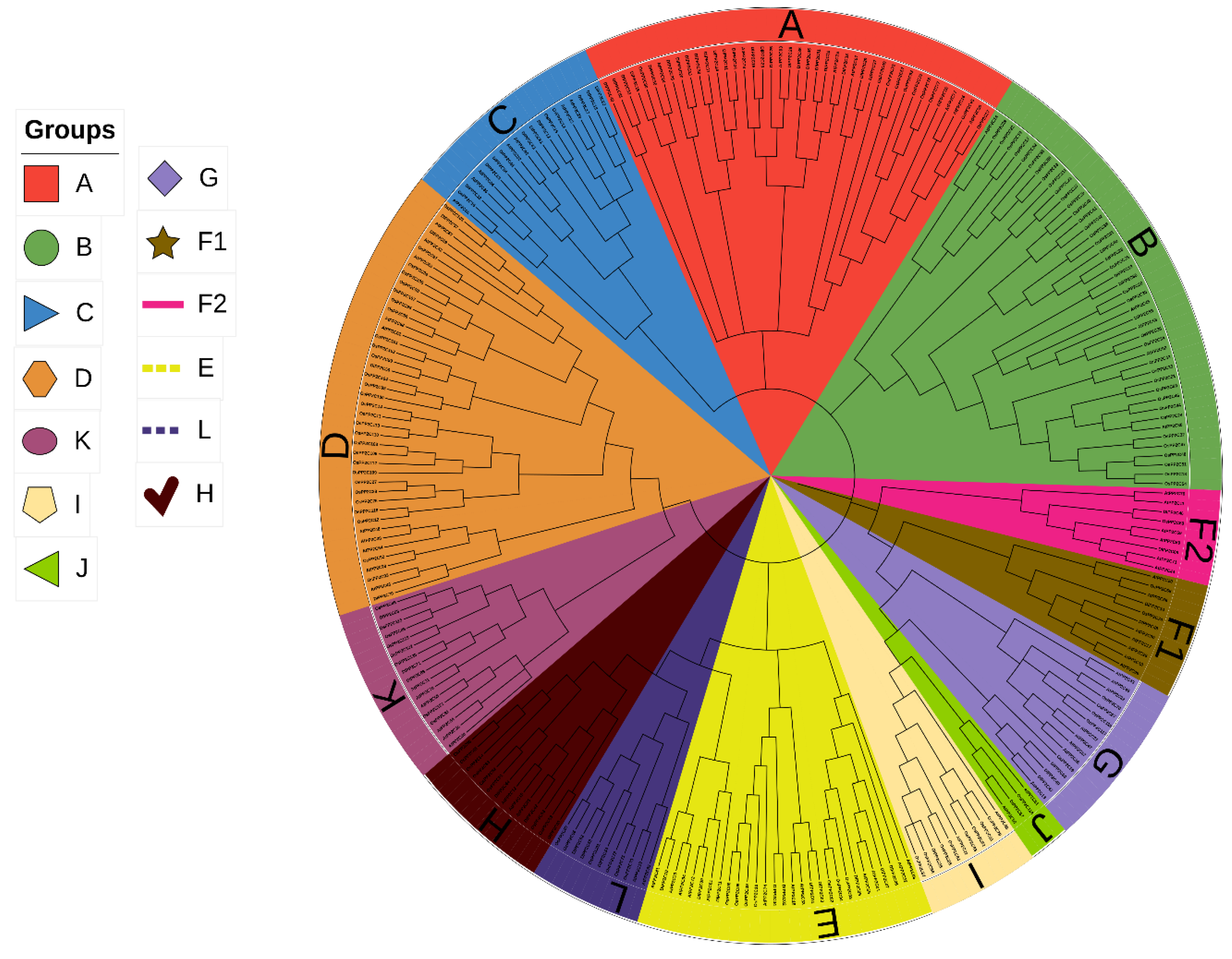 Preprints 209749 g001 Preprints 209749 g001