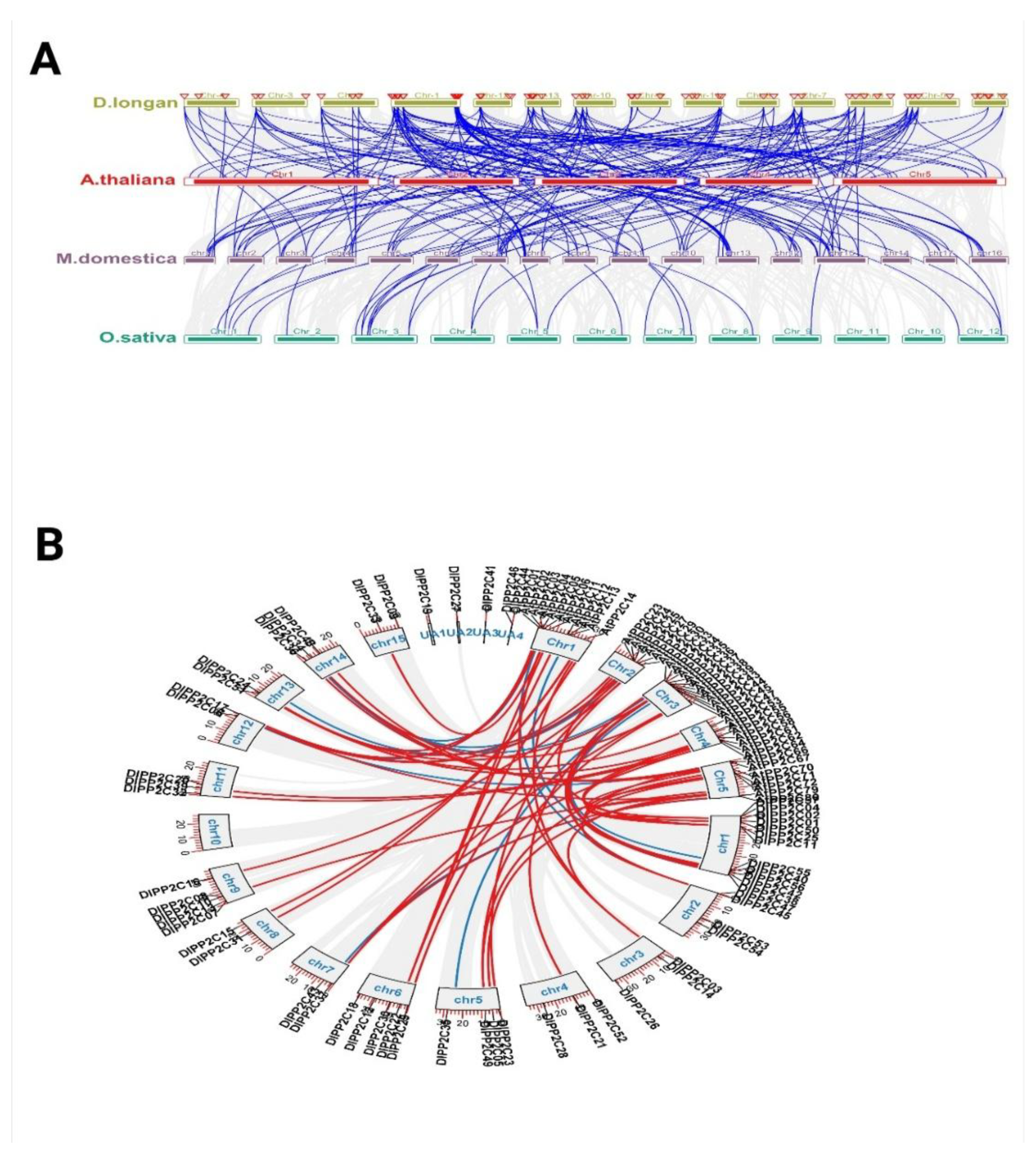 Preprints 209749 g003 Preprints 209749 g003