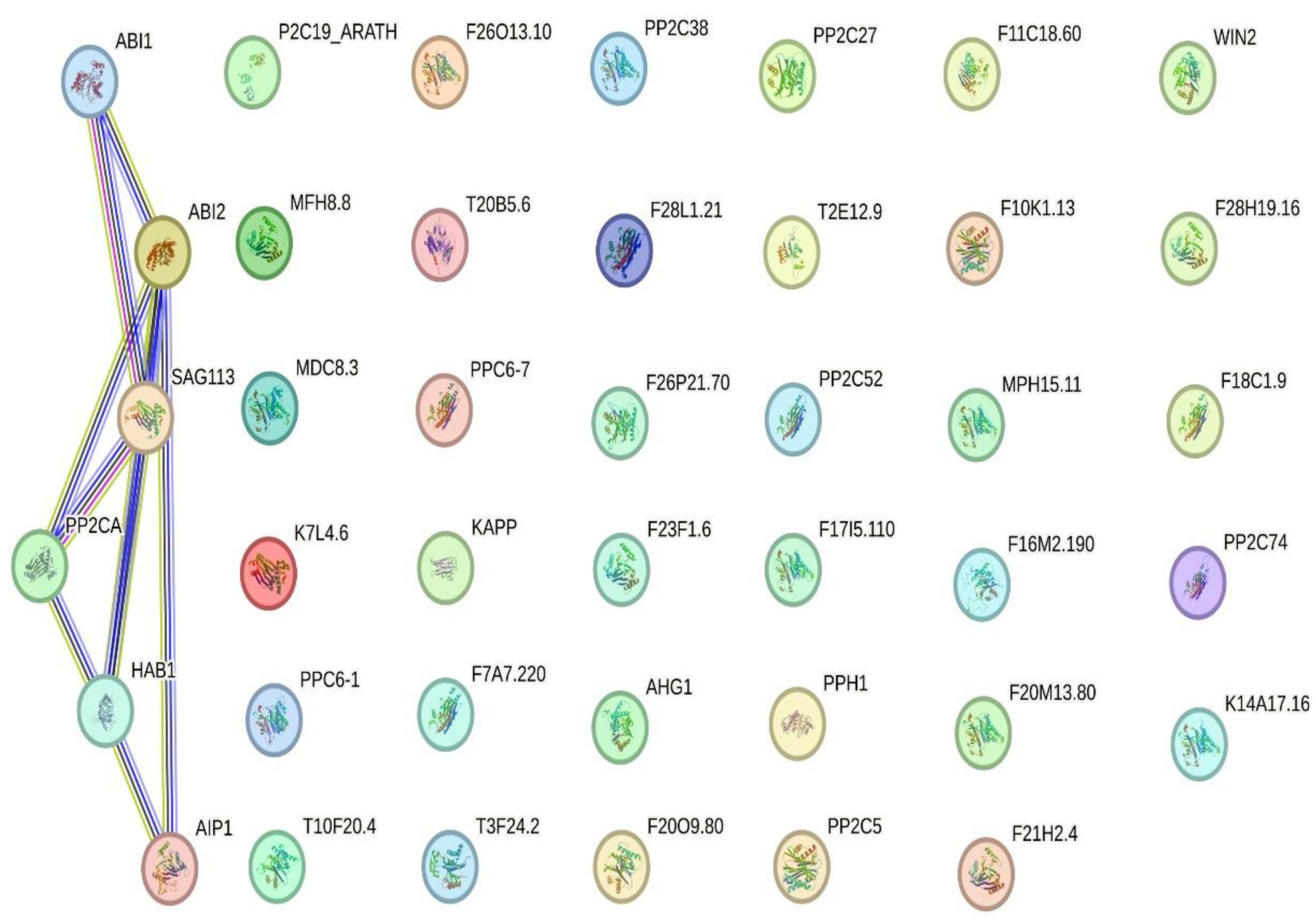 Preprints 209749 g005 Preprints 209749 g005