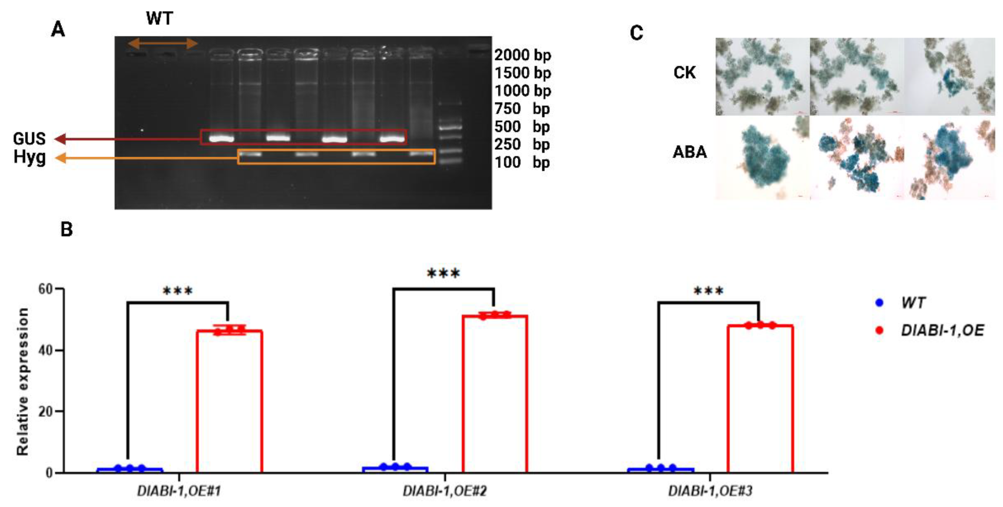 Preprints 209749 g007 Preprints 209749 g007