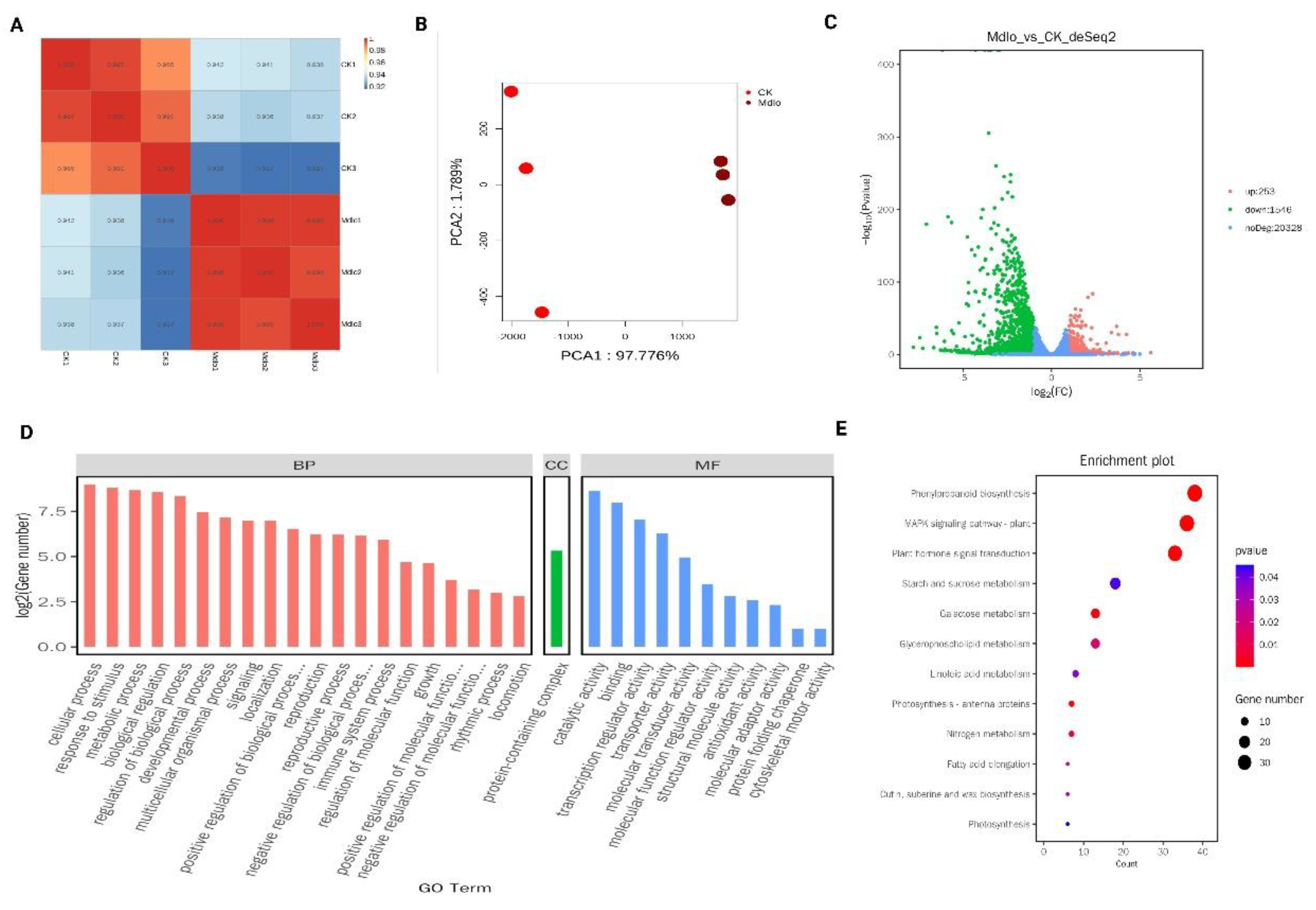Preprints 209749 g008 Preprints 209749 g008