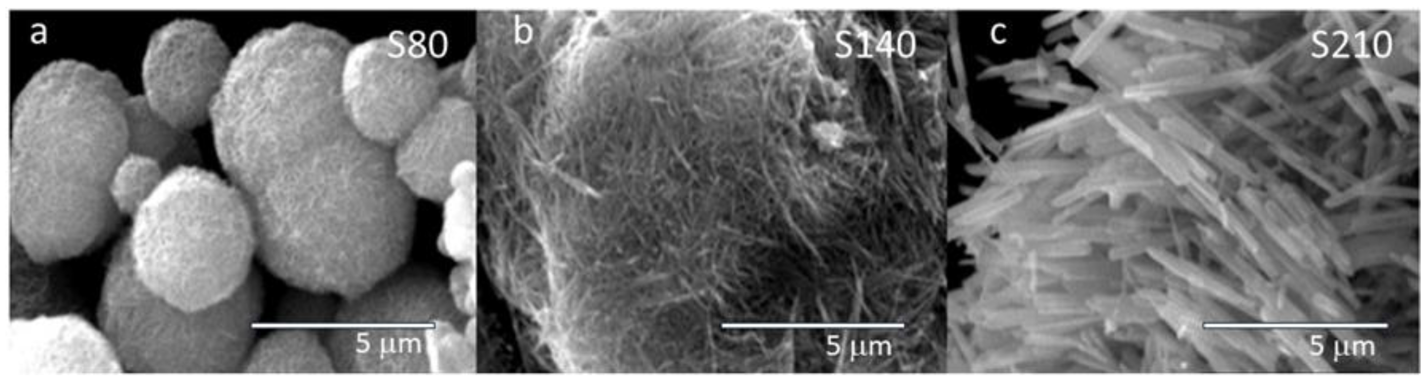 Preprints 90600 g001