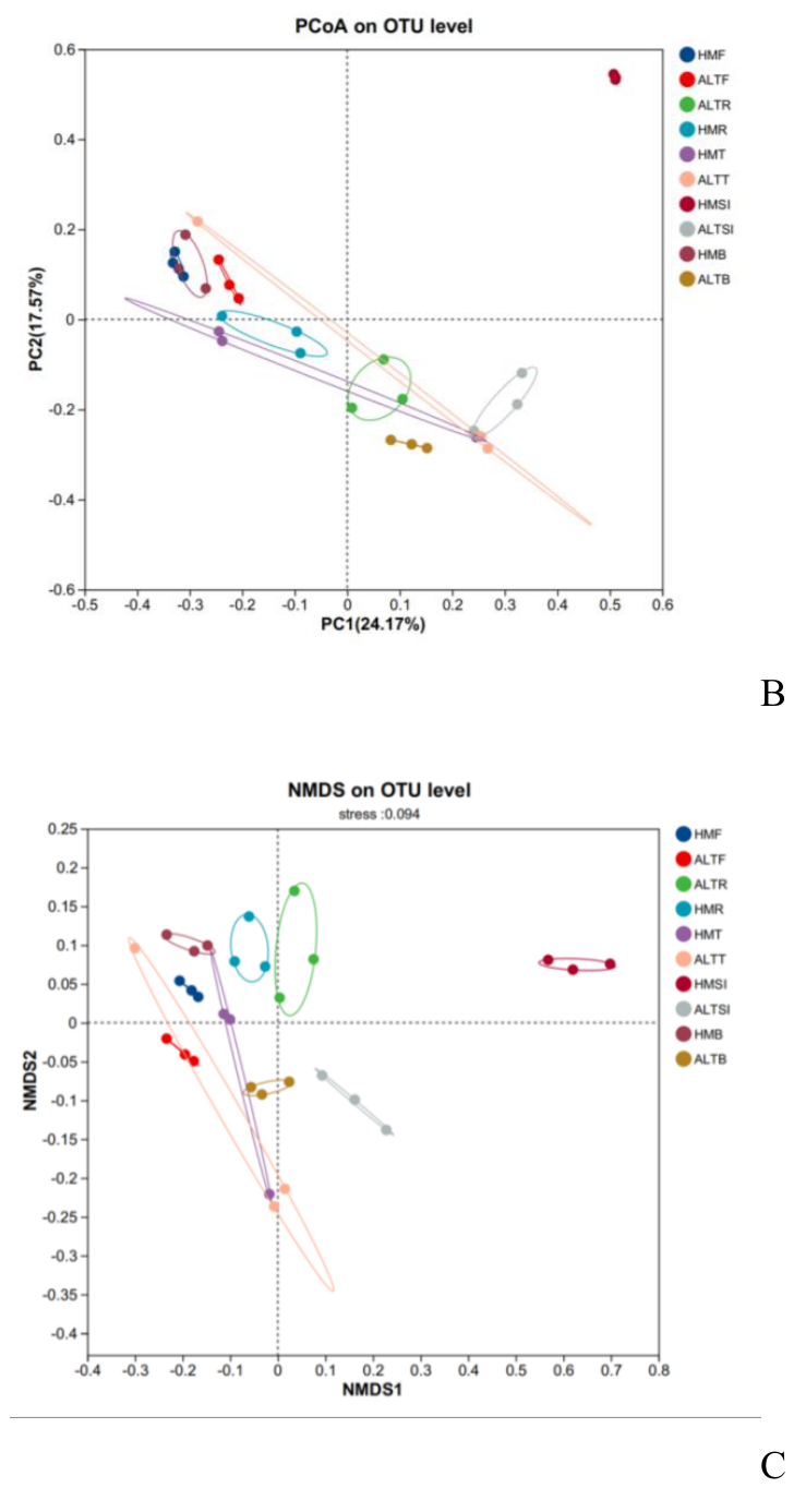 Preprints 215729 g002b