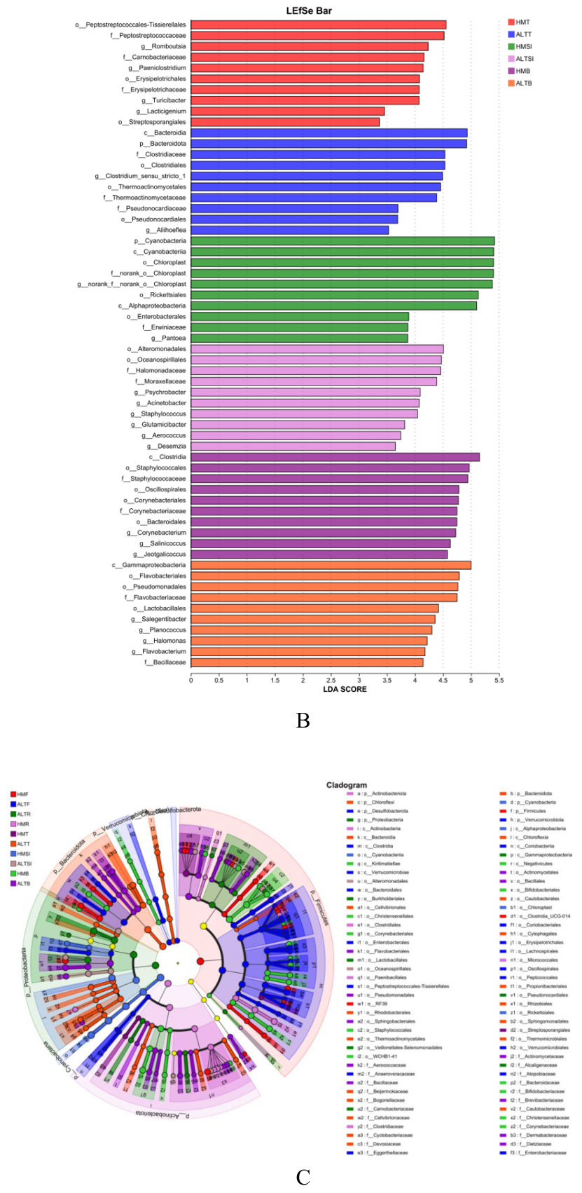 Preprints 215729 g005b