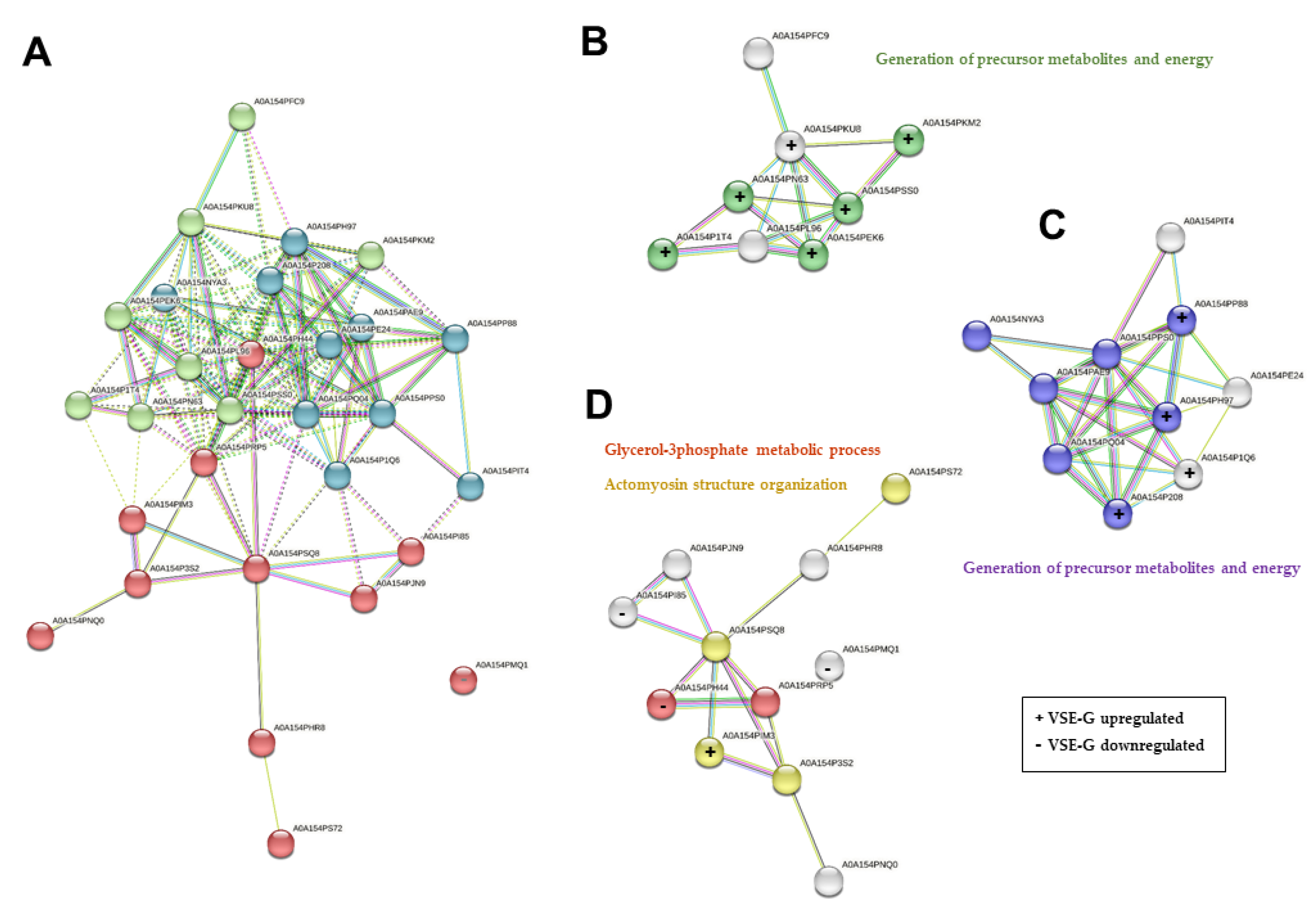 Preprints 100517 g007